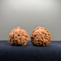 Lucky Coin Wenwan Walnut · 35mm · Natural · Premium Ritual