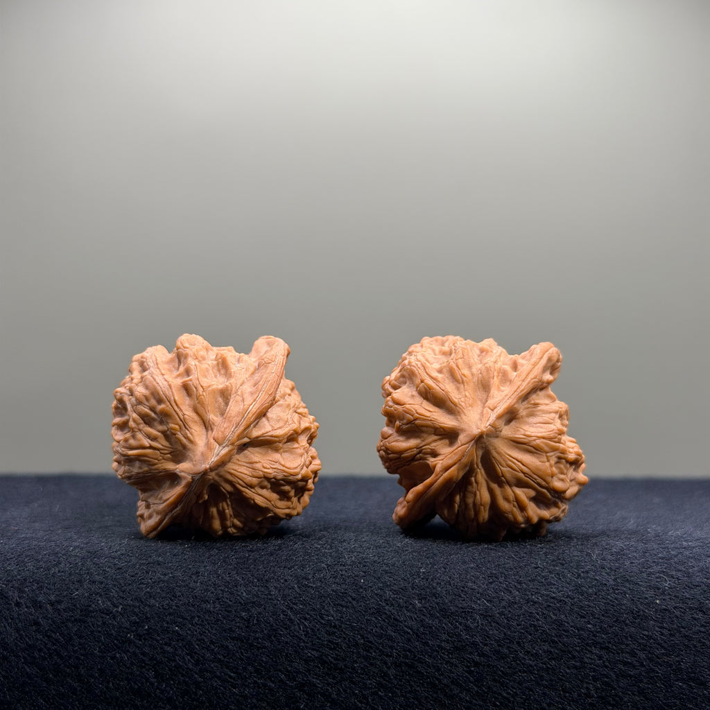 Lucky Coin Wenwan Walnut · 35mm · Natural · Premium Ritual