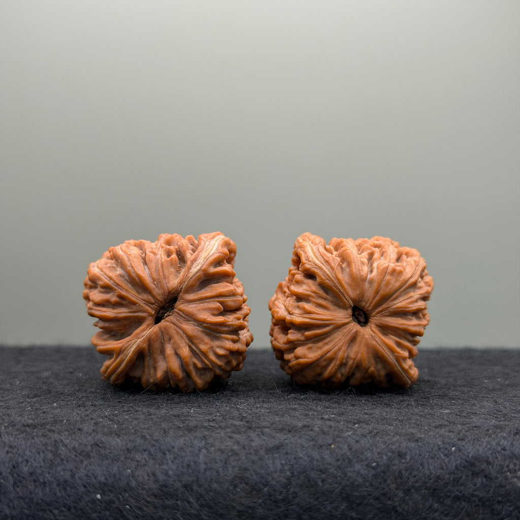 Han Four-Towers Lion Head Wenwan Walnut