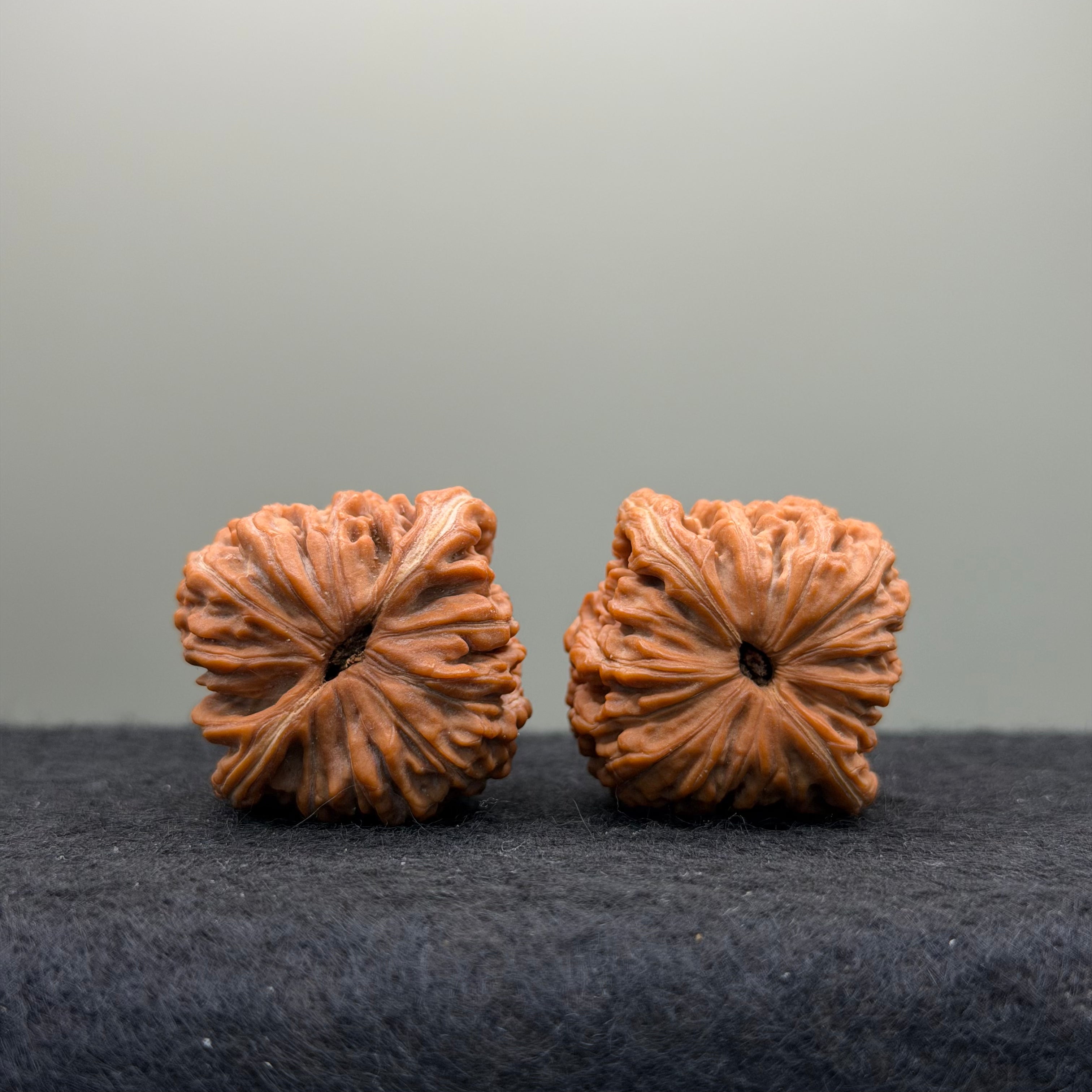 Han Four-Towers Lion Head Wenwan Walnut