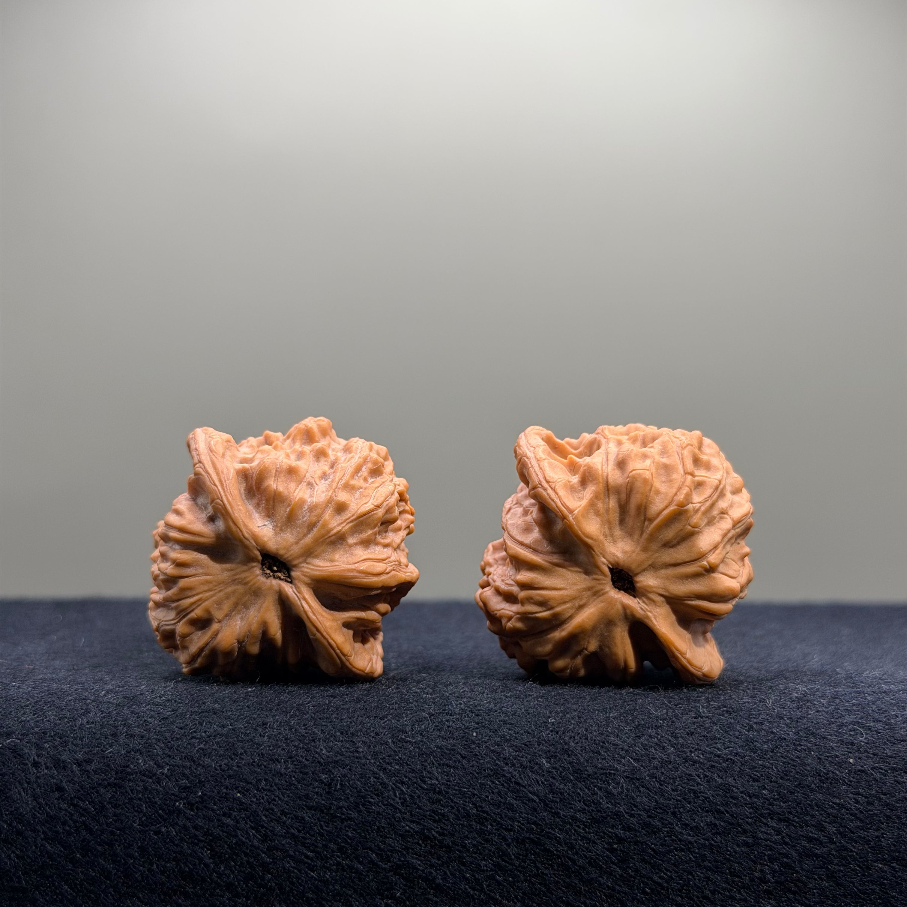 Lucky Coin Wenwan Walnut · 35mm · Natural · Premium Ritual