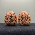 Northwest General Shoulder Wenwan Walnut