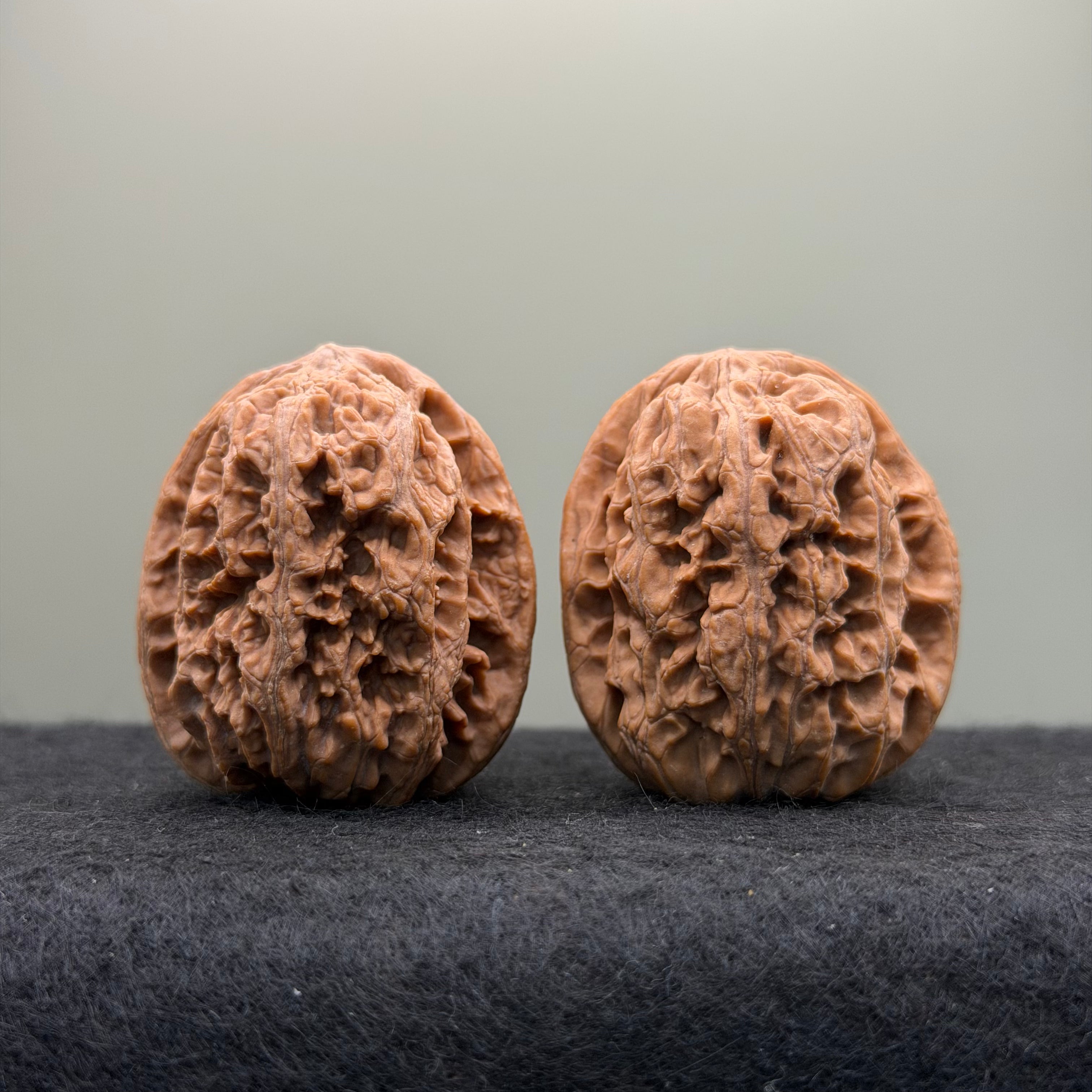 Northwest General Shoulder Wenwan Walnut