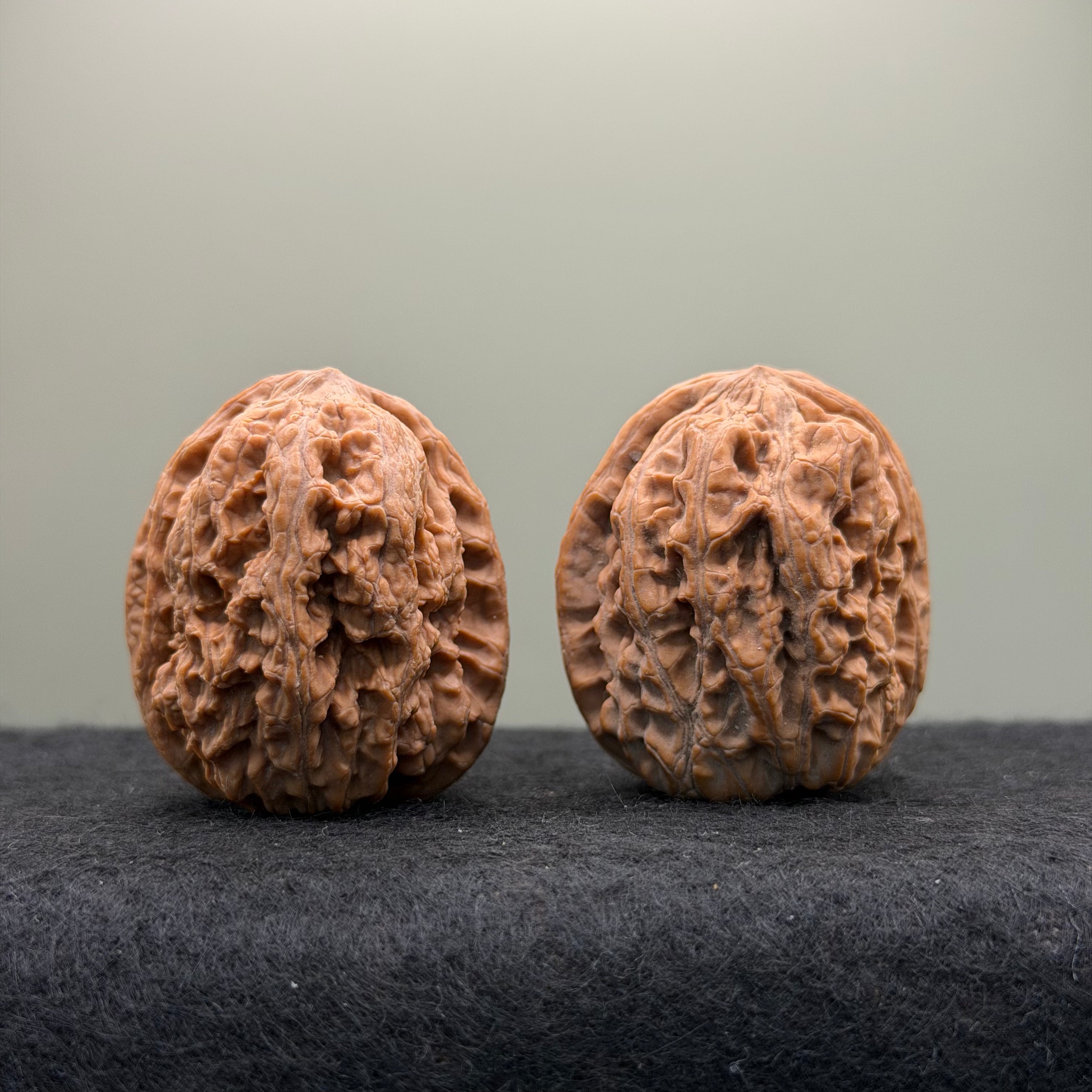 Northwest General Shoulder Wenwan Walnut