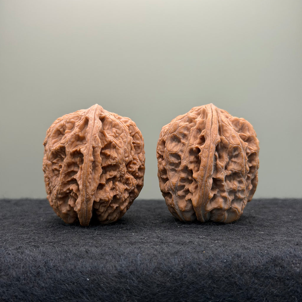 Northwest General Shoulder Wenwan Walnut