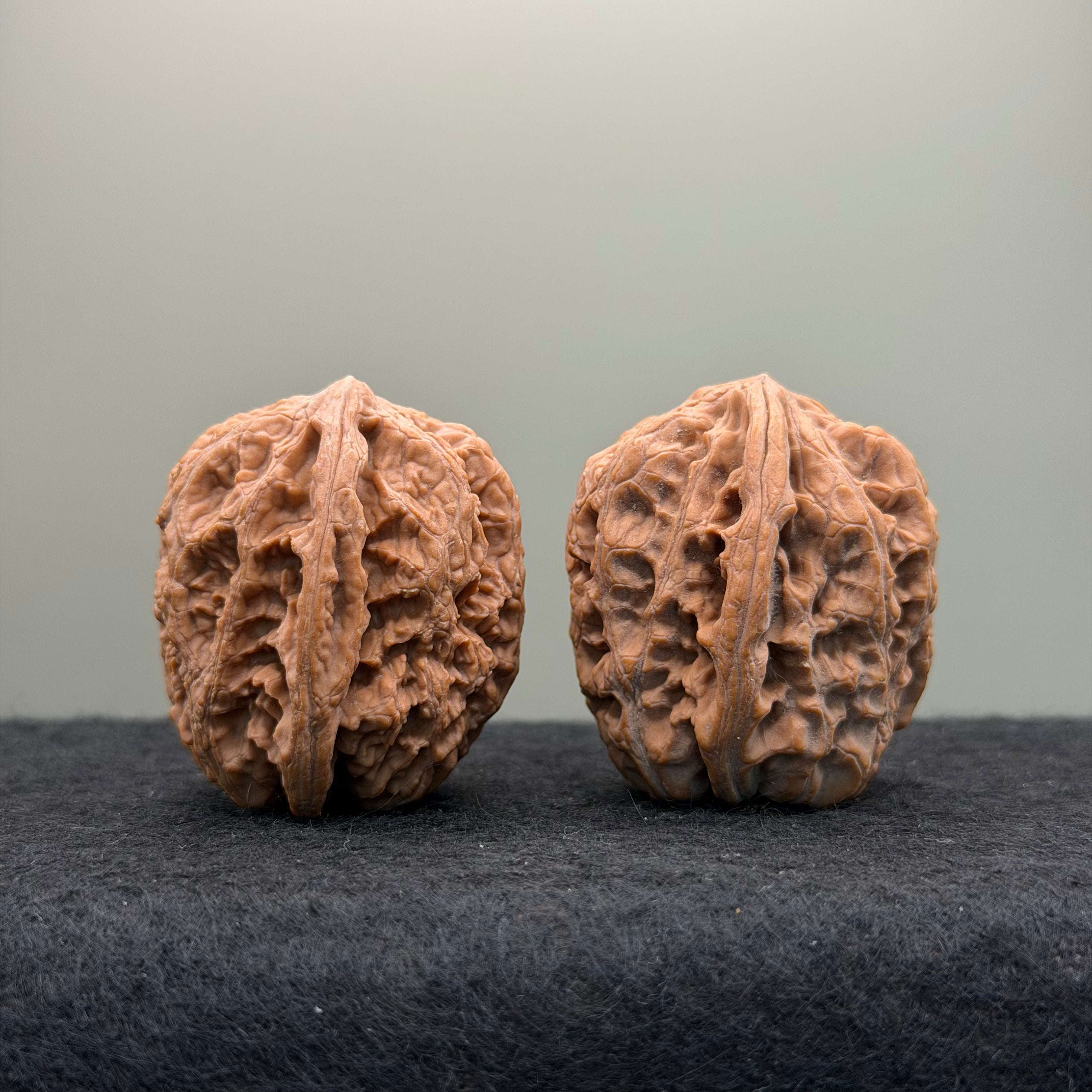 Northwest General Shoulder Wenwan Walnut