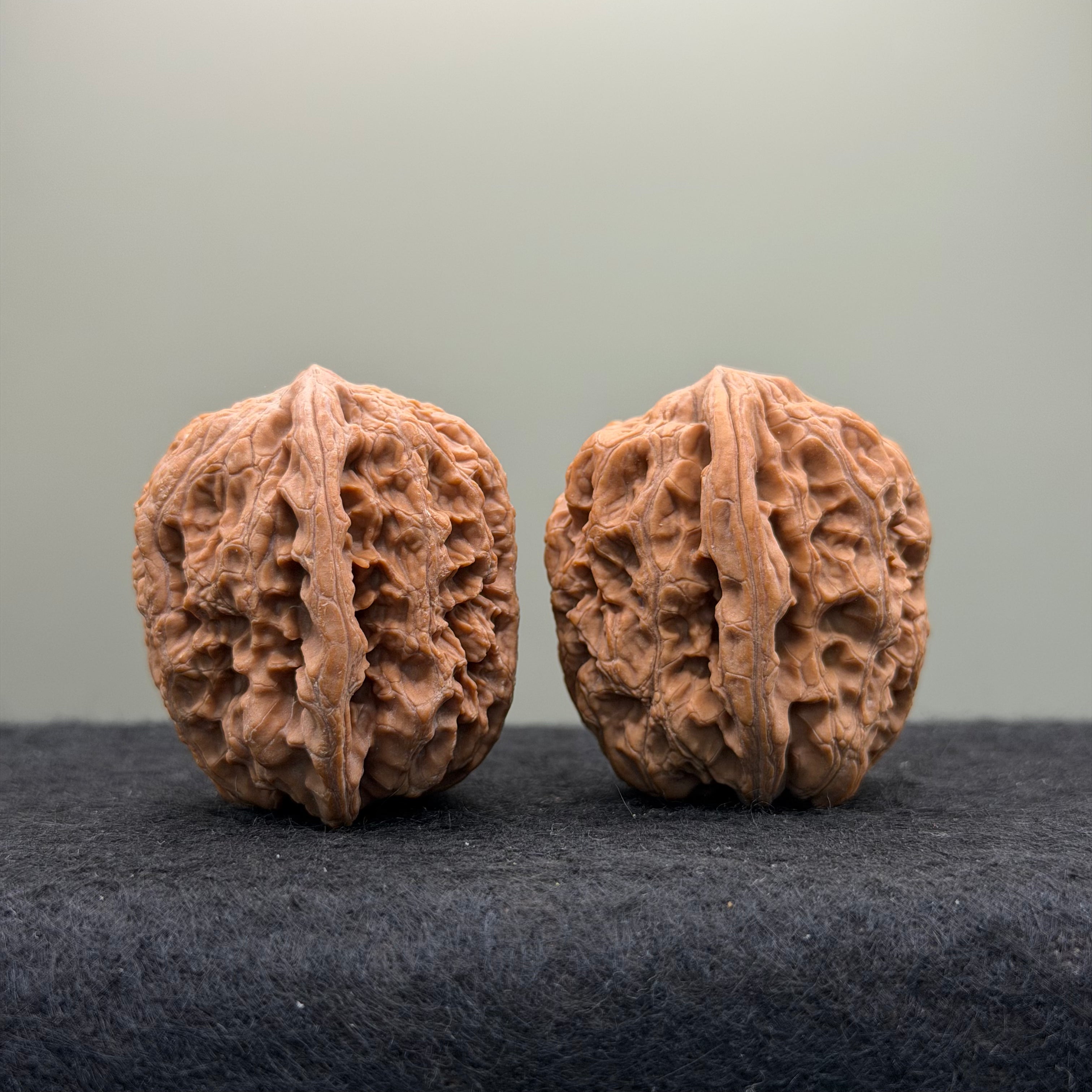 Northwest General Shoulder Wenwan Walnut