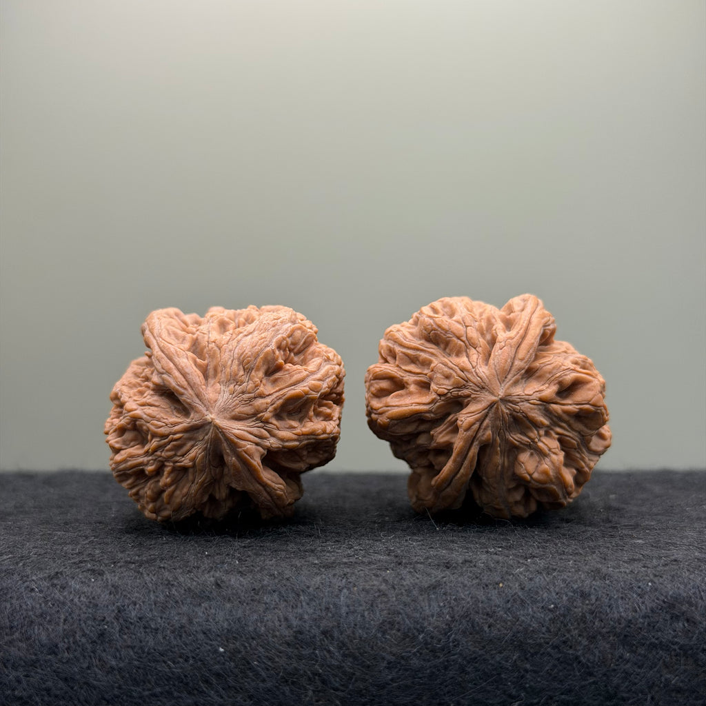 Northwest General Shoulder Wenwan Walnut