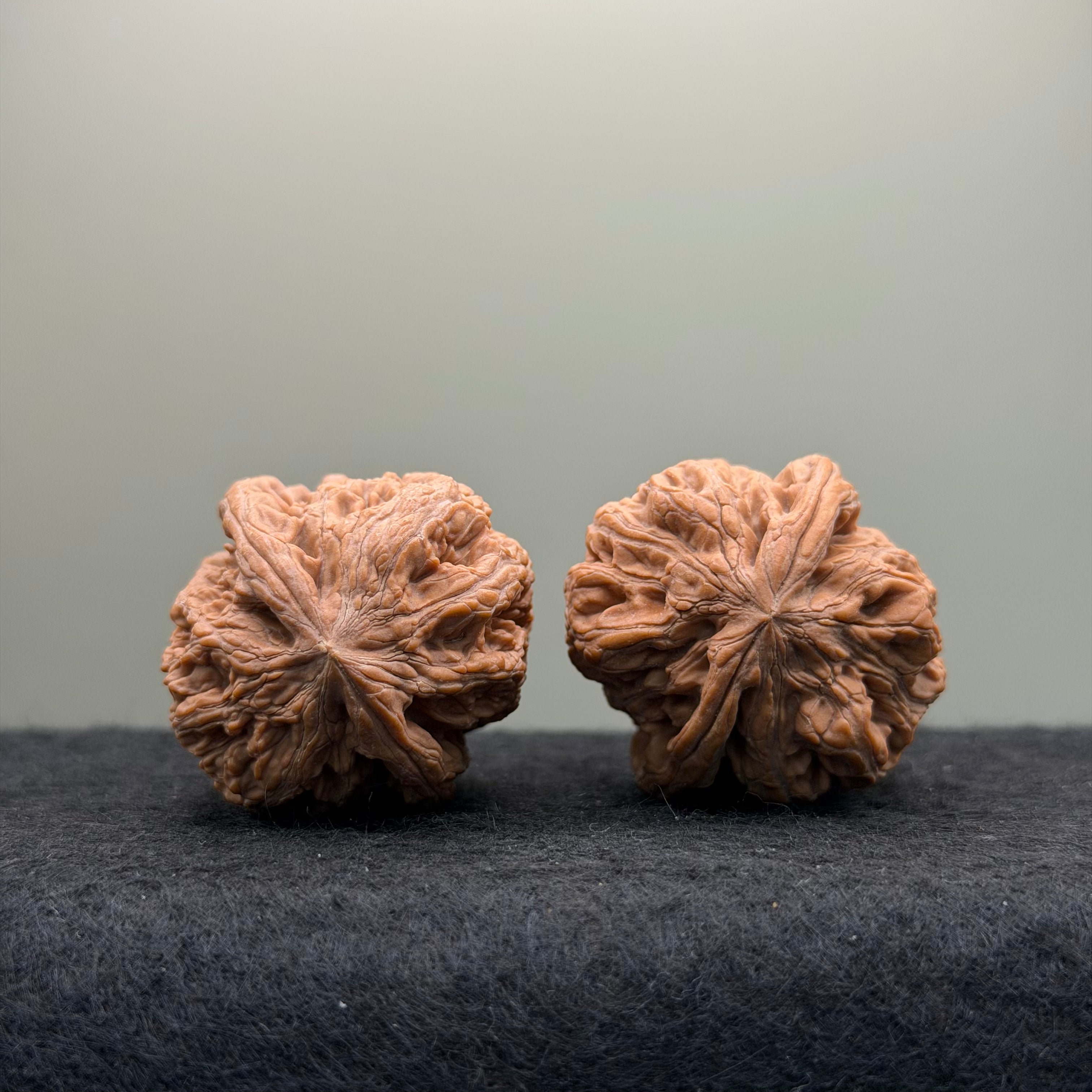 Northwest General Shoulder Wenwan Walnut