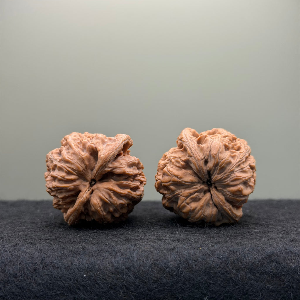 Northwest General Shoulder Wenwan Walnut