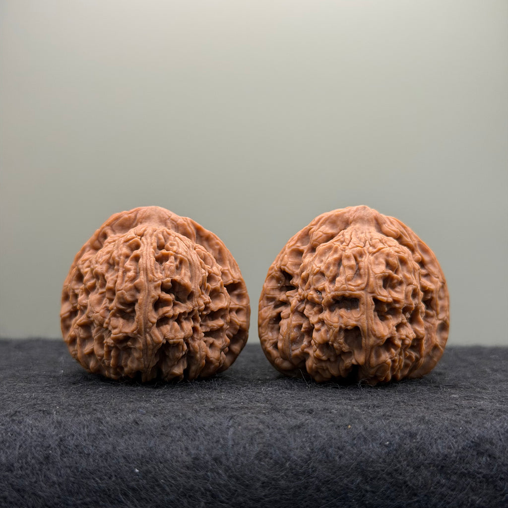 Nanjiang Stone Lion Head Wenwan Walnut