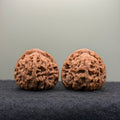 Nanjiang Stone Lion Head Wenwan Walnut
