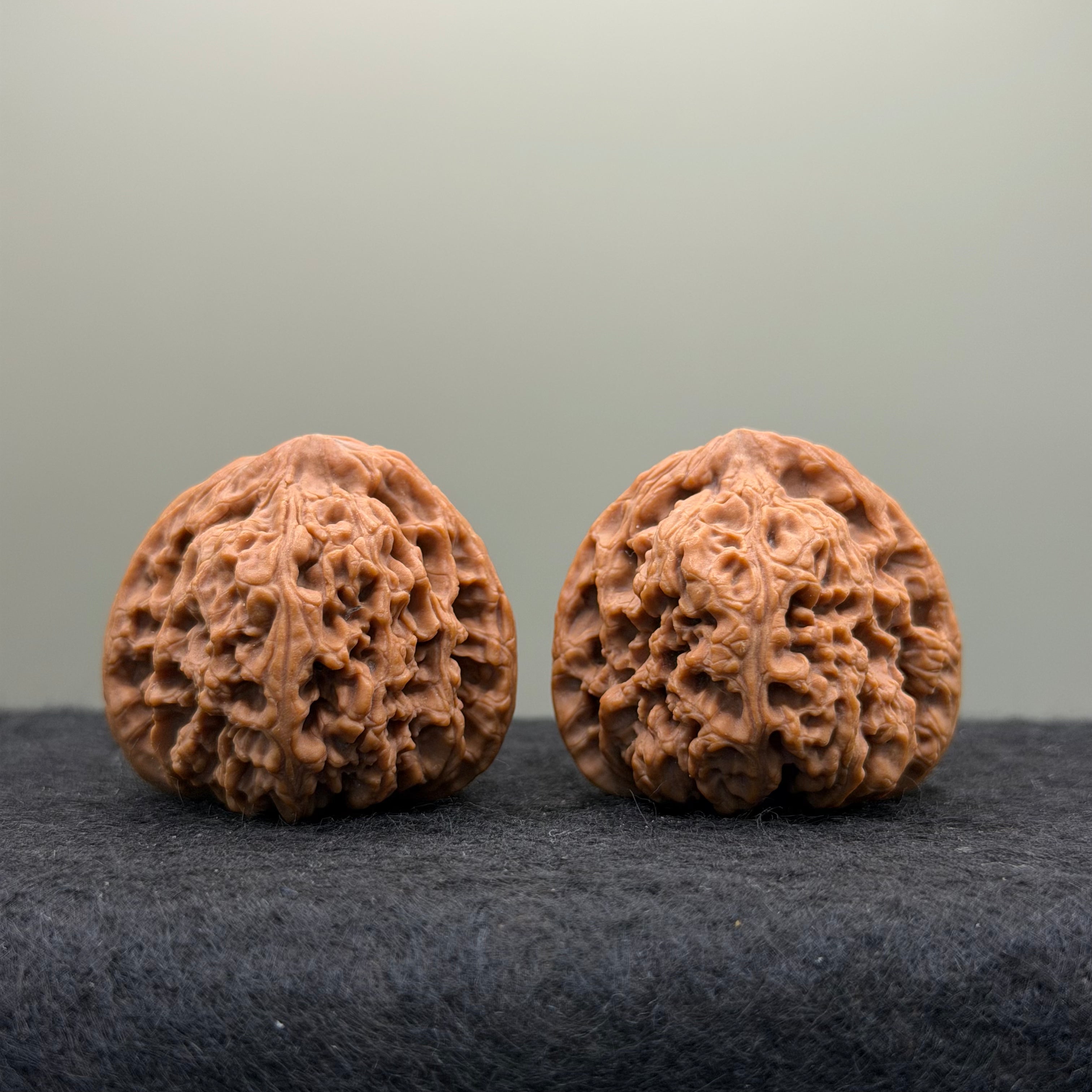Nanjiang Stone Lion Head Wenwan Walnut