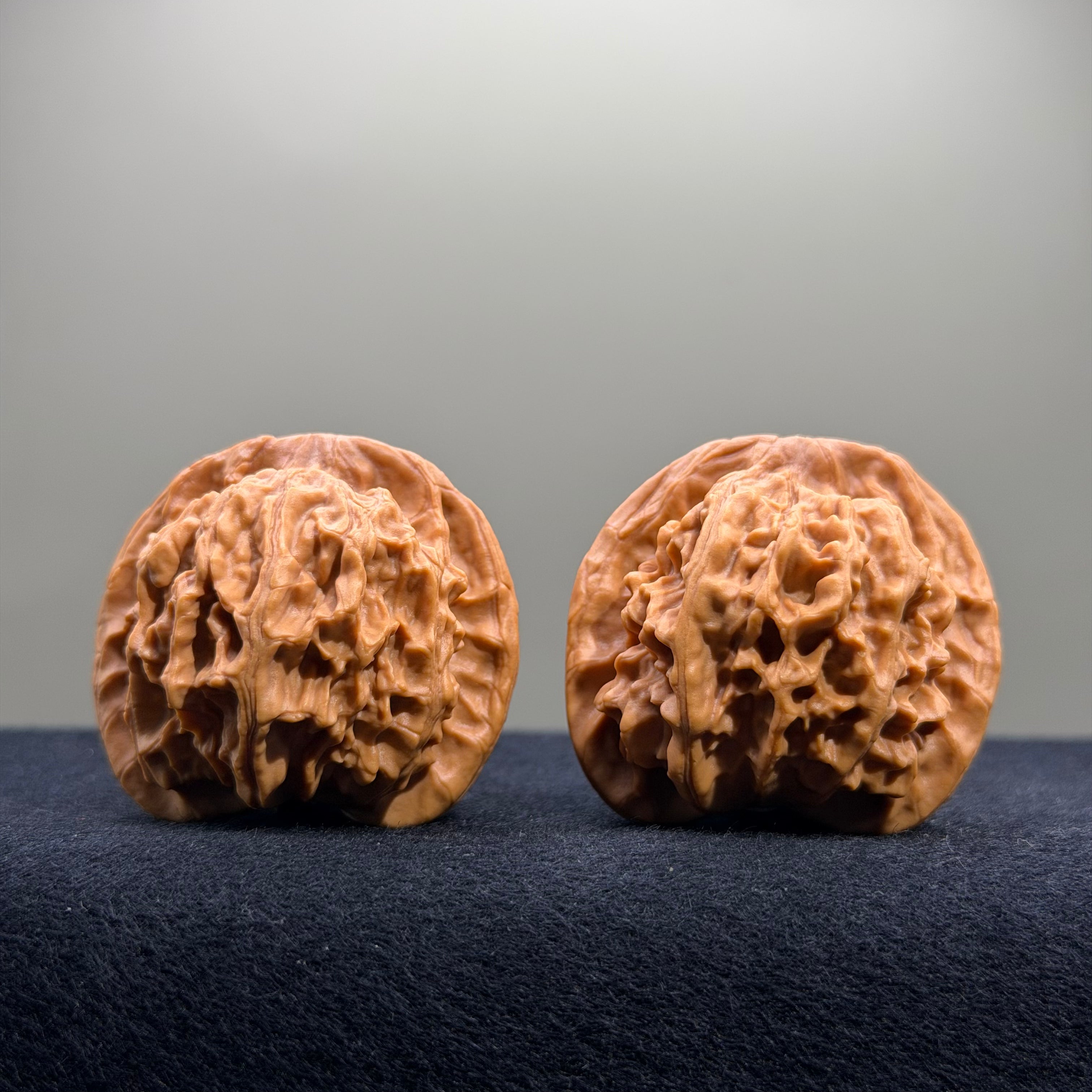 Heaven & Earth Wenwan Walnut · 39mm · Natural · Premium Ritual