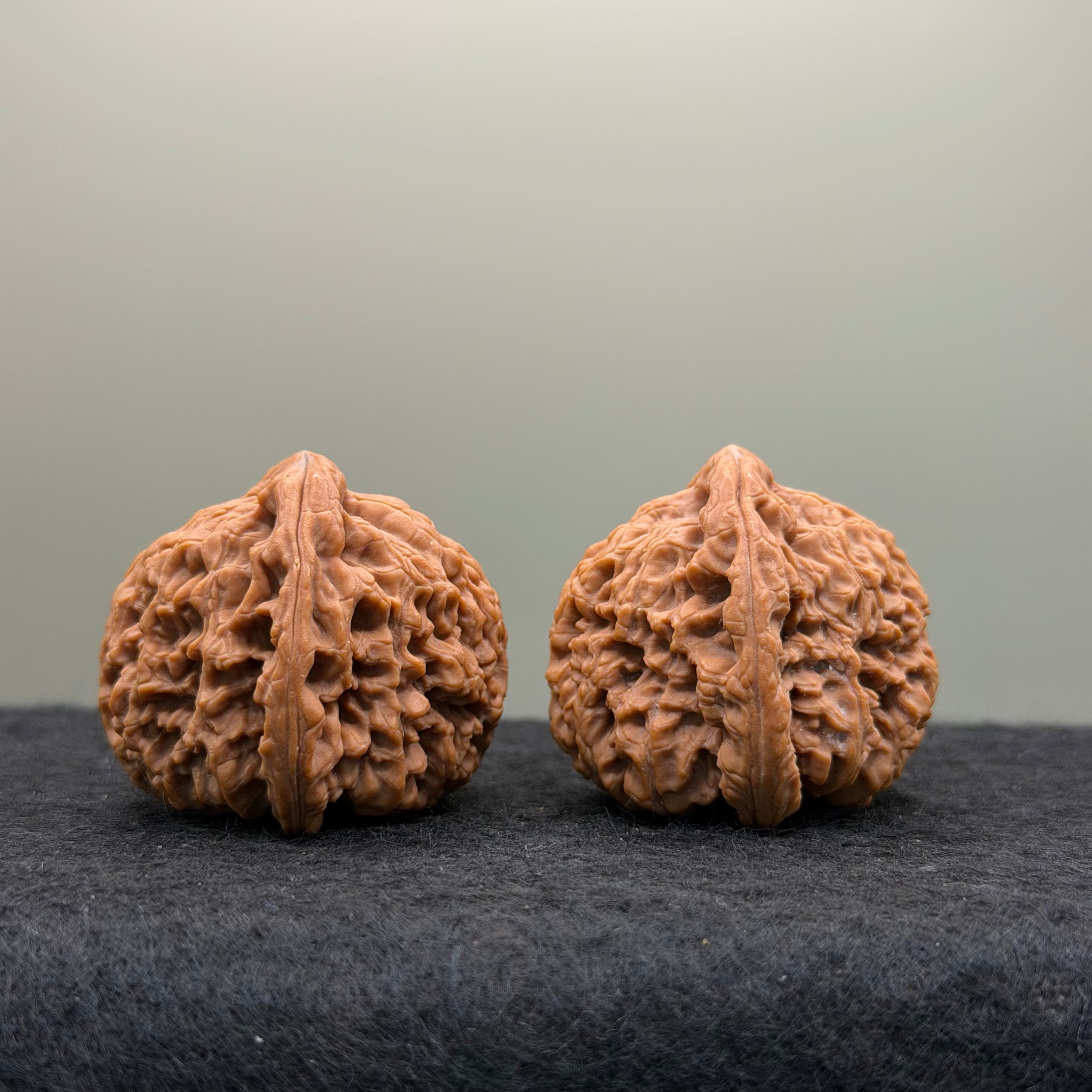 Nanjiang Stone Lion Head Wenwan Walnut