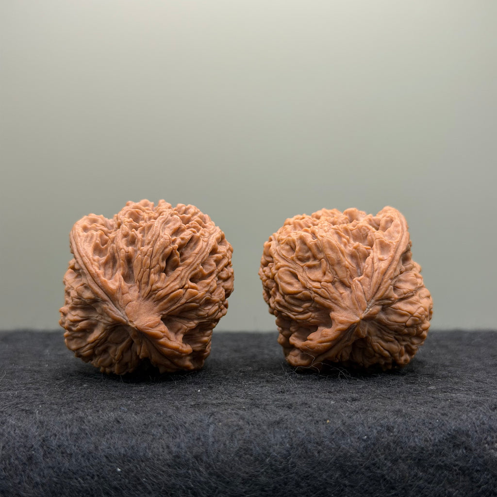 Nanjiang Stone Lion Head Wenwan Walnut