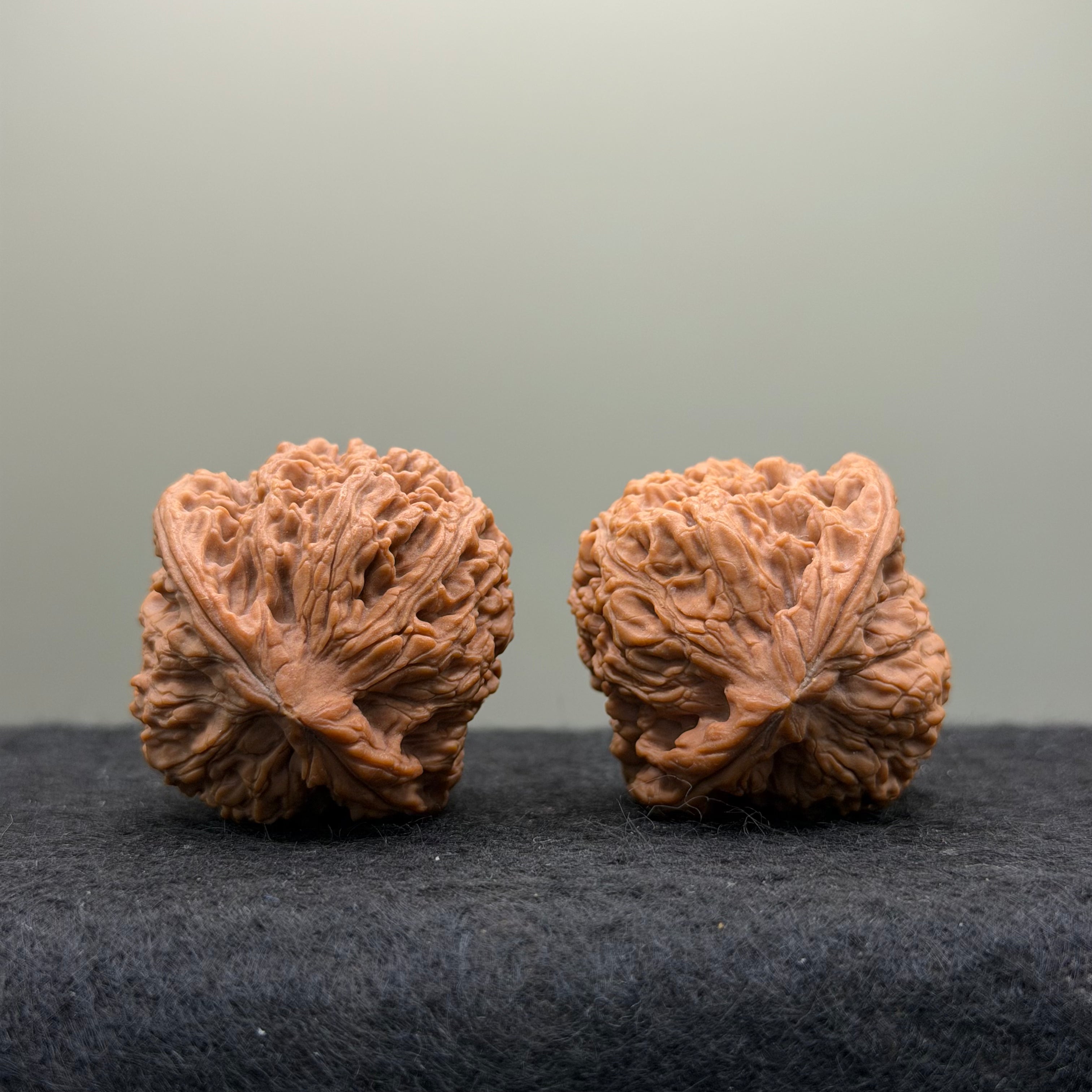Nanjiang Stone Lion Head Wenwan Walnut