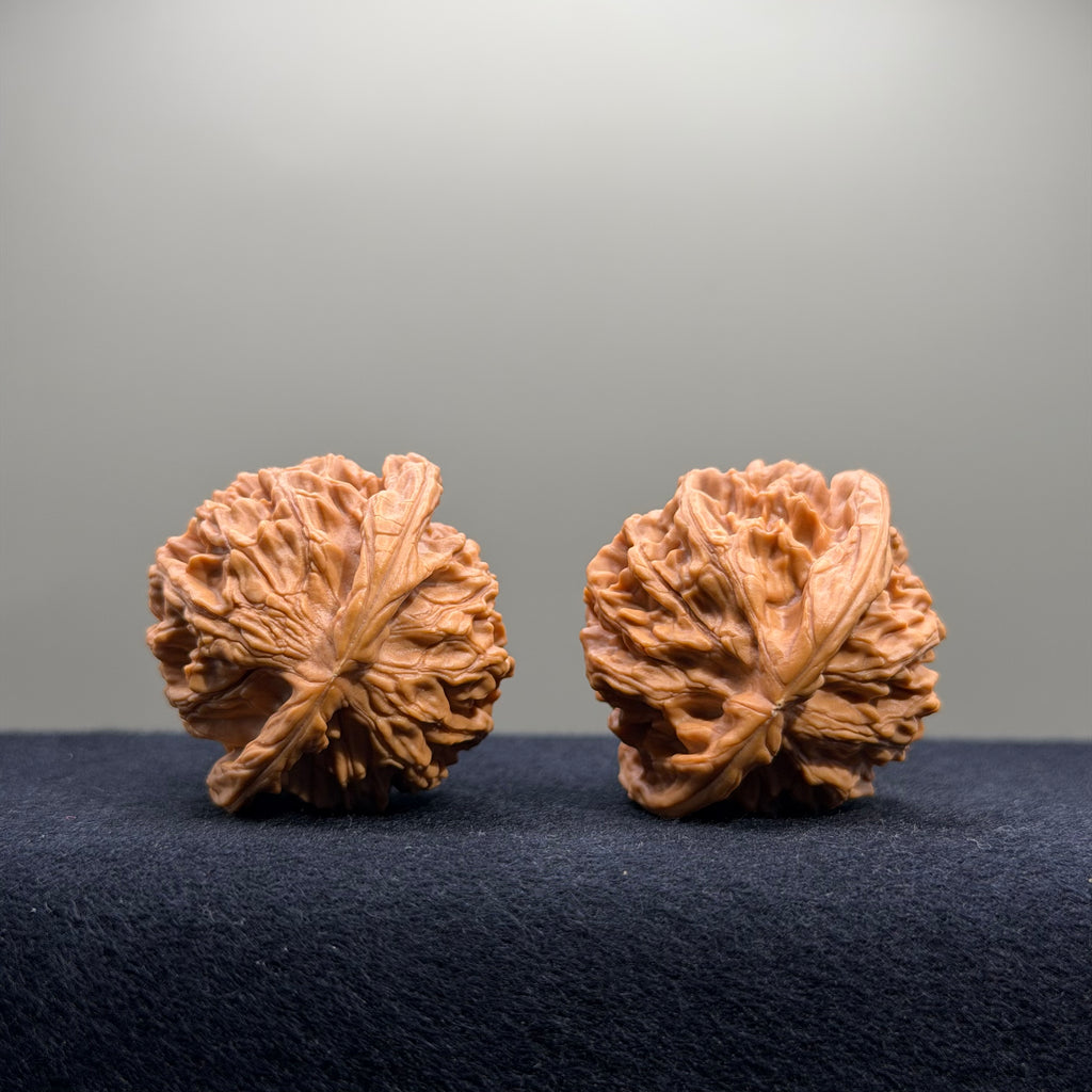 Heaven & Earth Wenwan Walnut · 39mm · Natural · Premium Ritual
