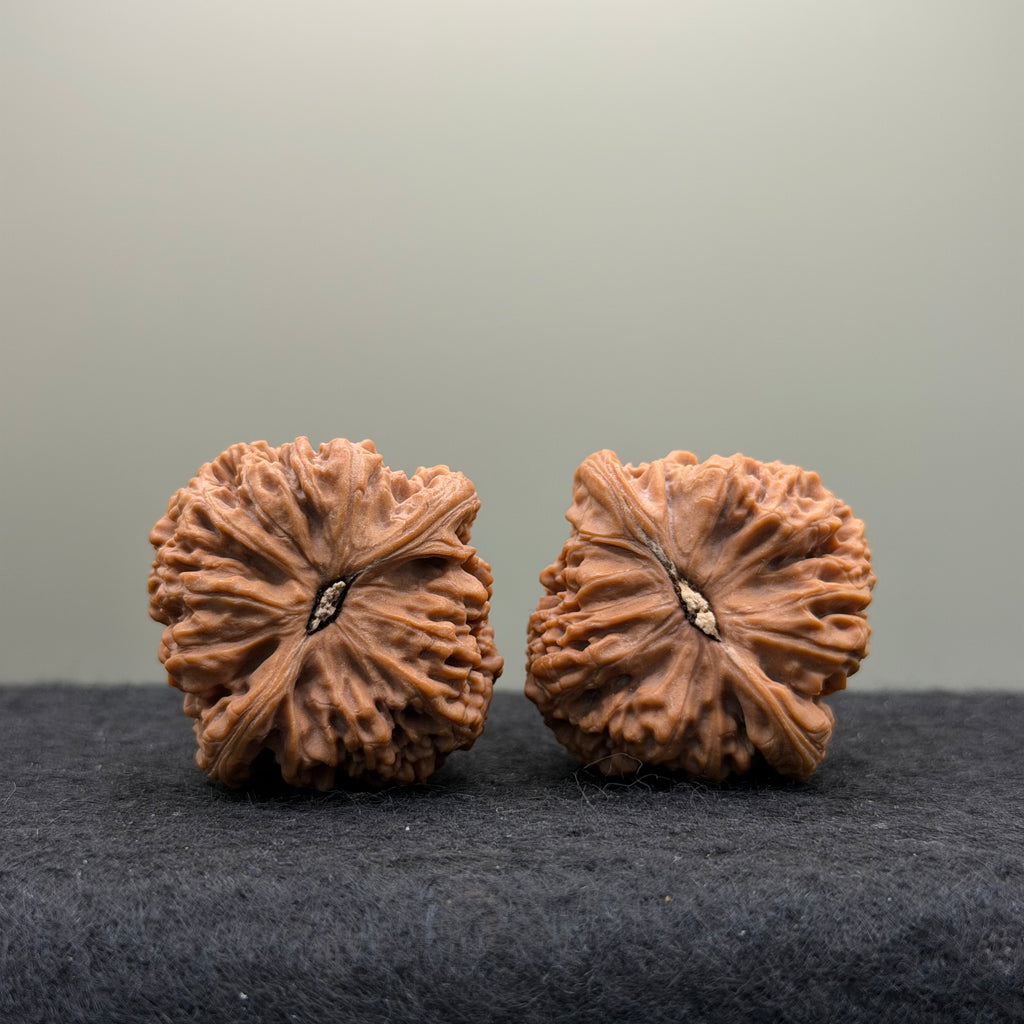 Nanjiang Stone Lion Head Wenwan Walnut