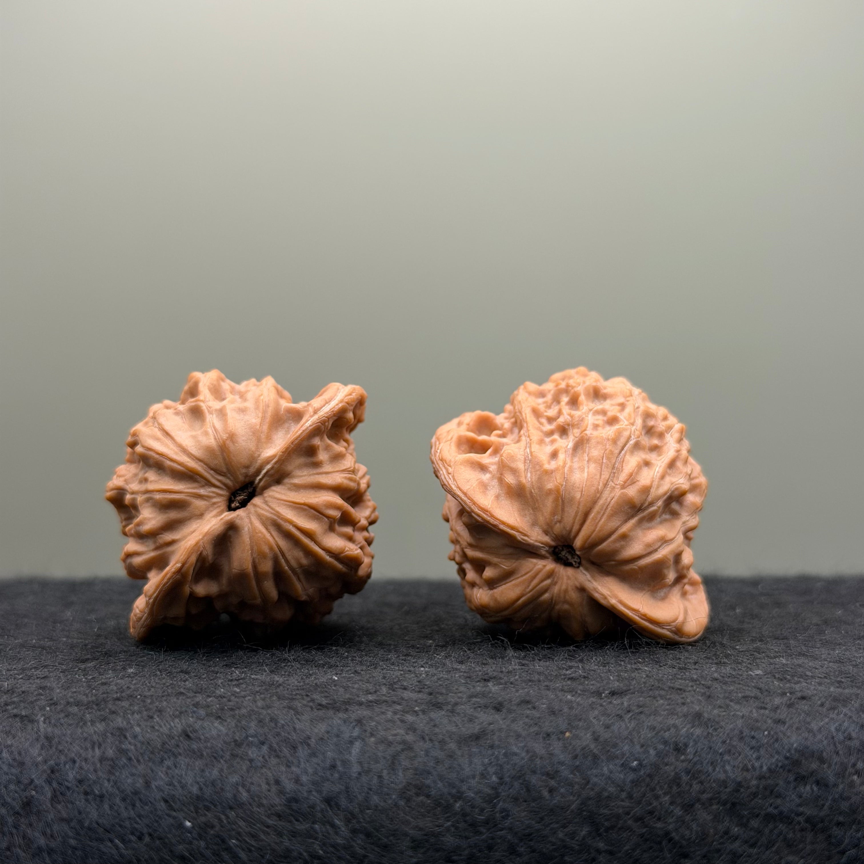 Cui Kai Prince Hat Wenwan Walnut