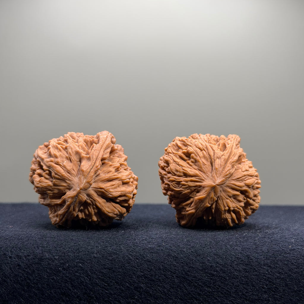 Nanjiang Stone Wenwan Walnut · 37mm · Natural · Premium Ritual