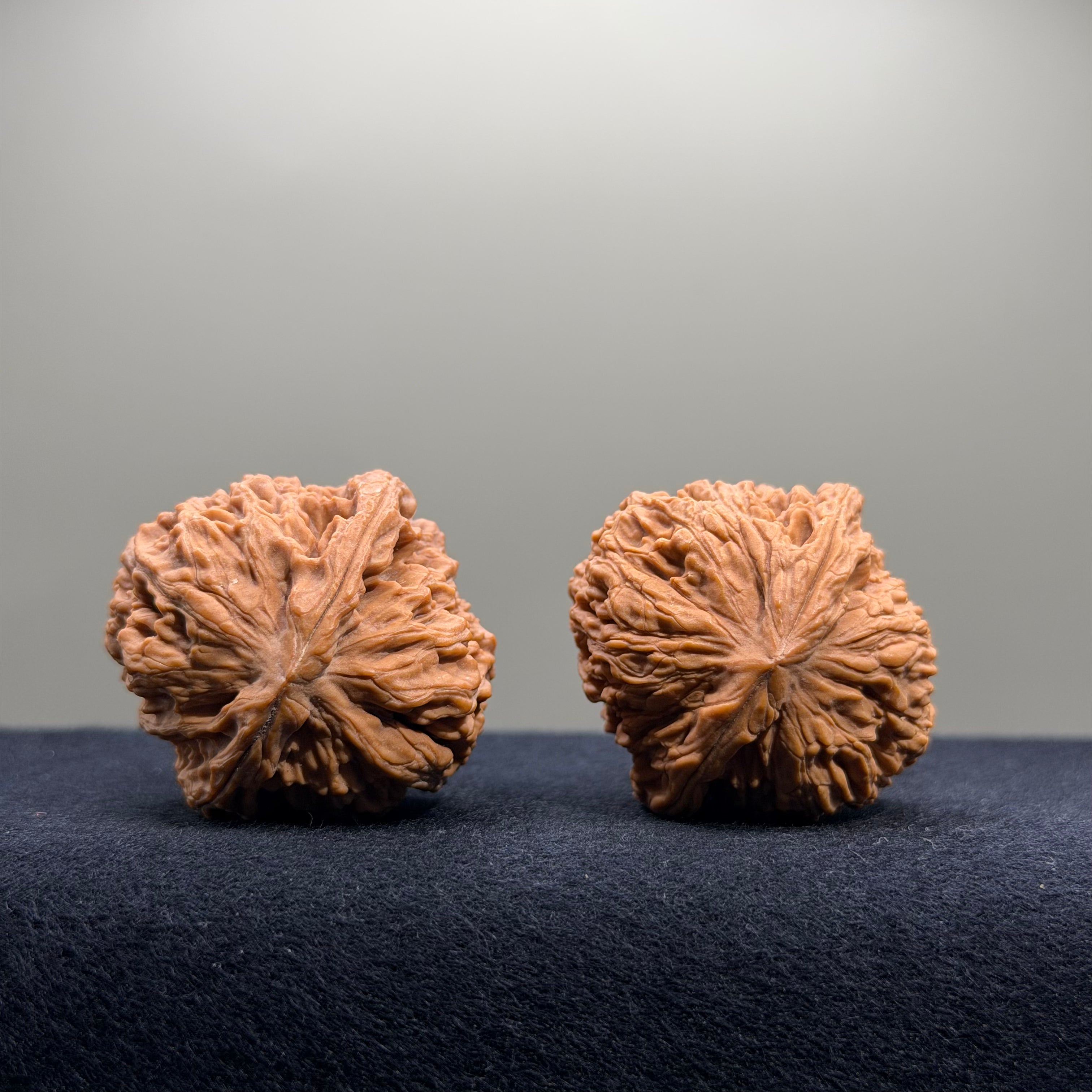 Nanjiang Stone Wenwan Walnut · 37mm · Natural · Premium Ritual