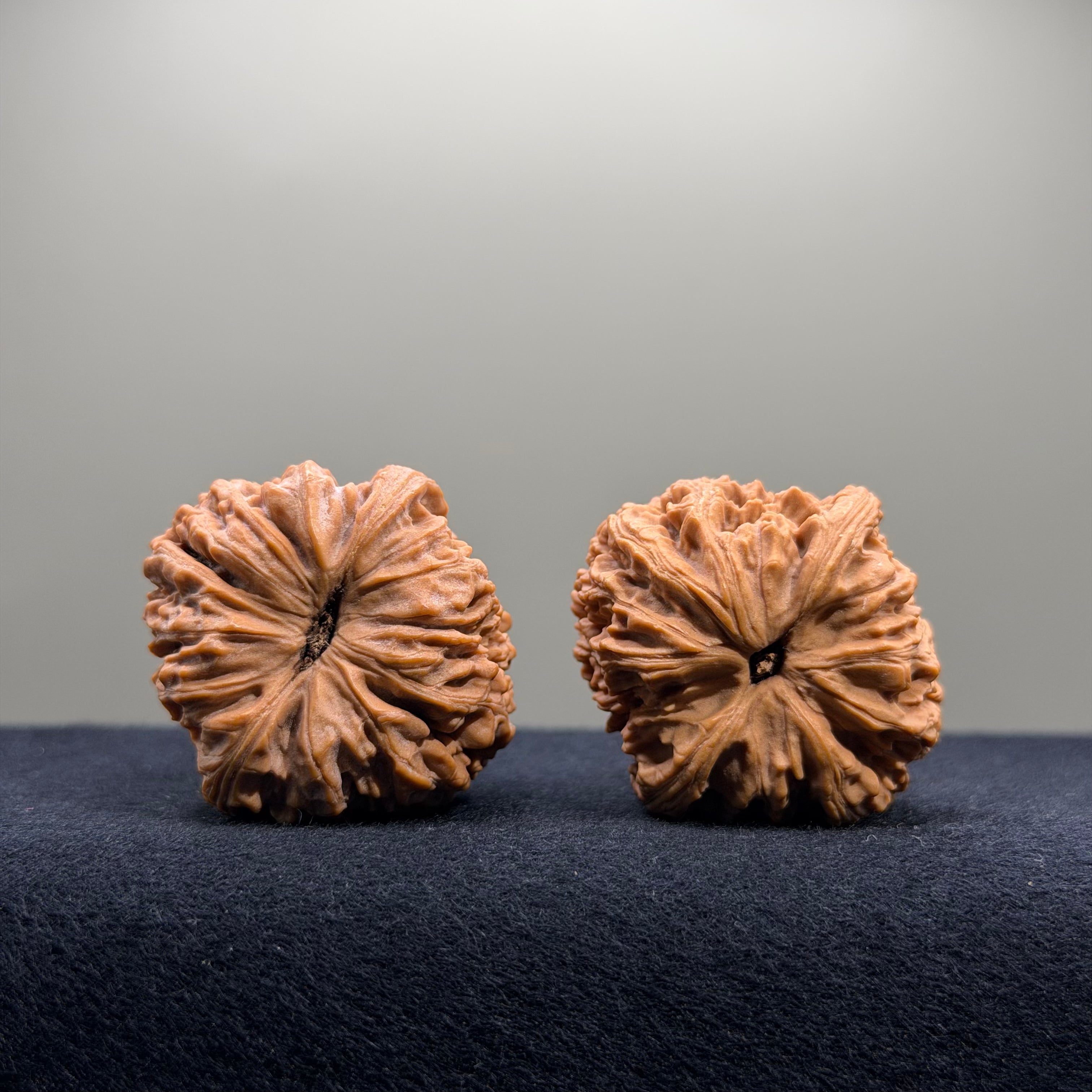 Nanjiang Stone Wenwan Walnut · 37mm · Natural · Premium Ritual