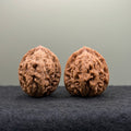 Wheat Ear Tiger Head Wenwan Walnut