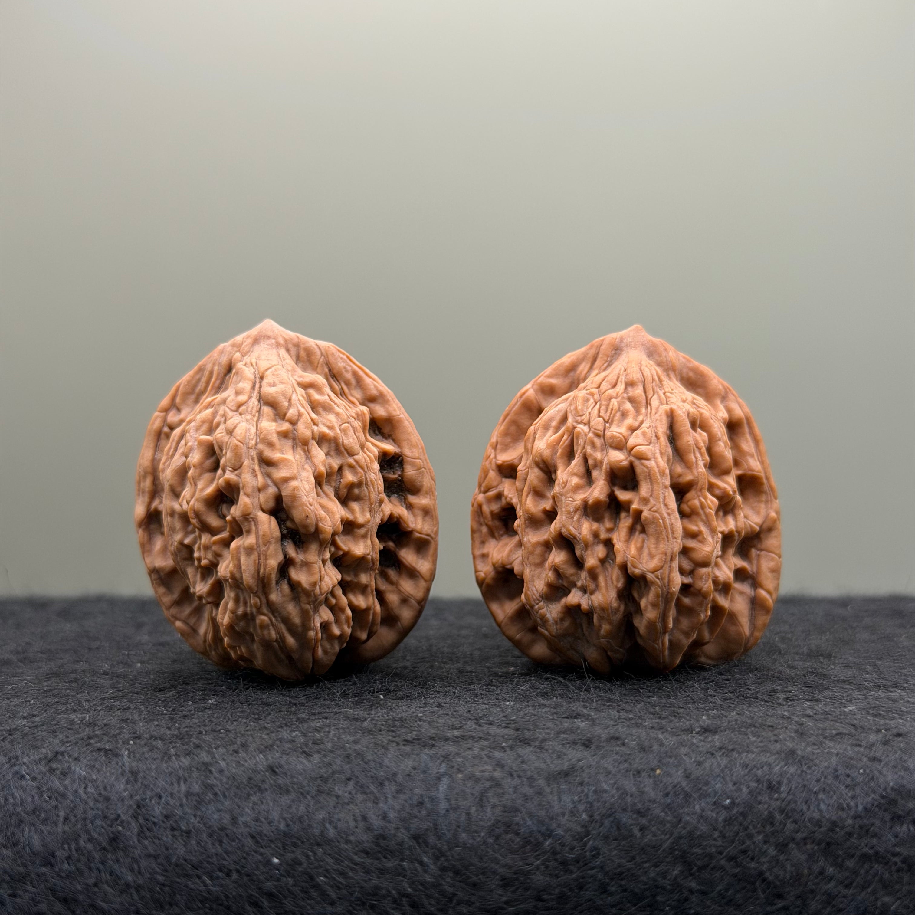 Wheat Ear Tiger Head Wenwan Walnut