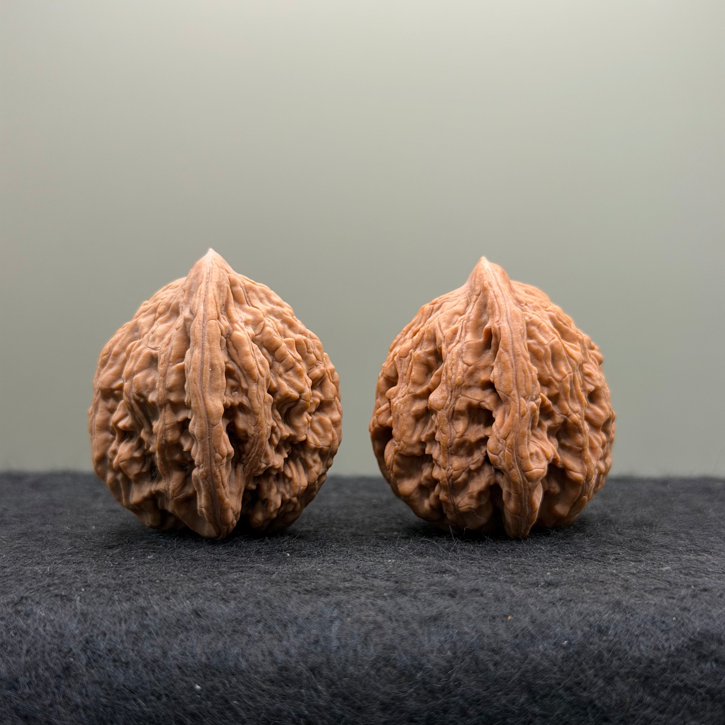 Wheat Ear Tiger Head Wenwan Walnut