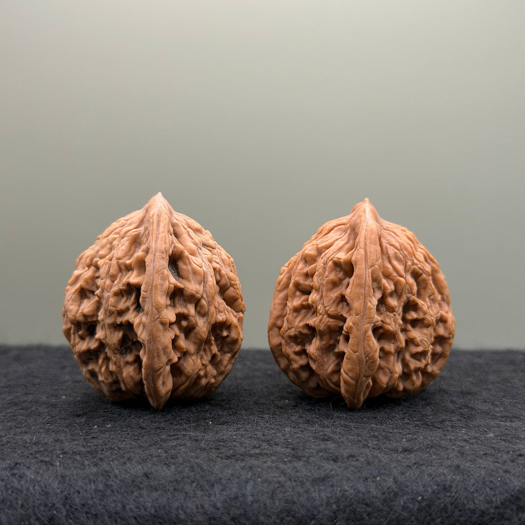Wheat Ear Tiger Head Wenwan Walnut