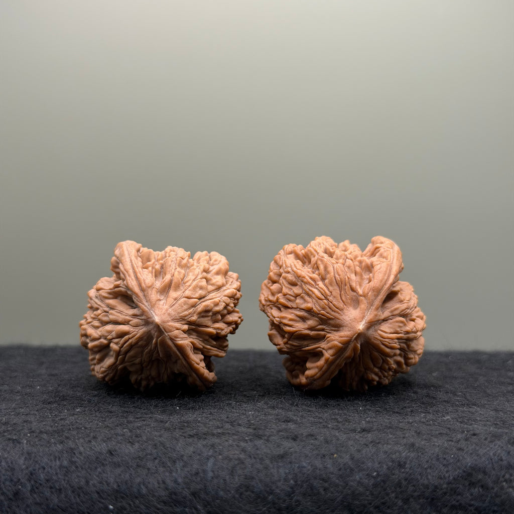 Wheat Ear Tiger Head Wenwan Walnut