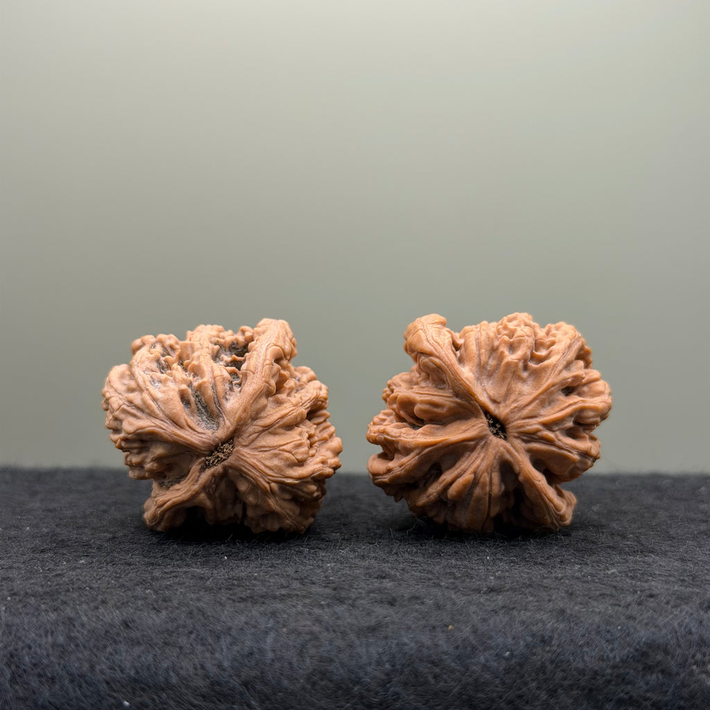 Wheat Ear Tiger Head Wenwan Walnut