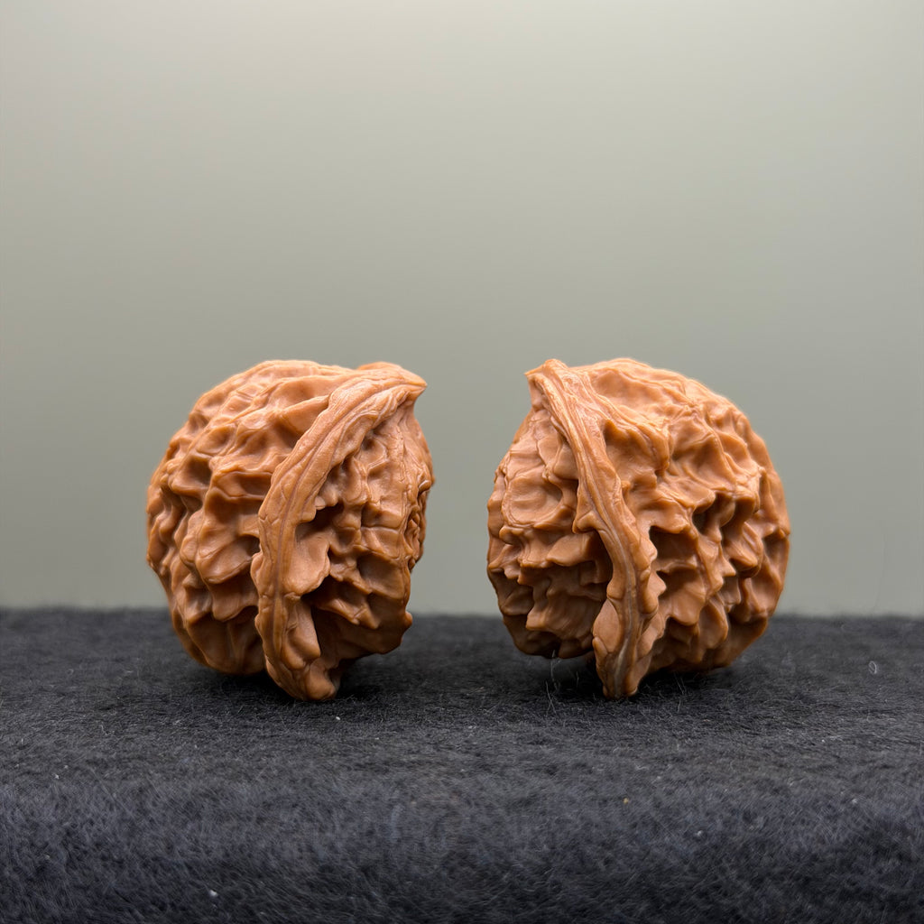 Snake Head Wenwan Walnut