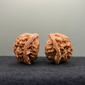 Snake Head Wenwan Walnut