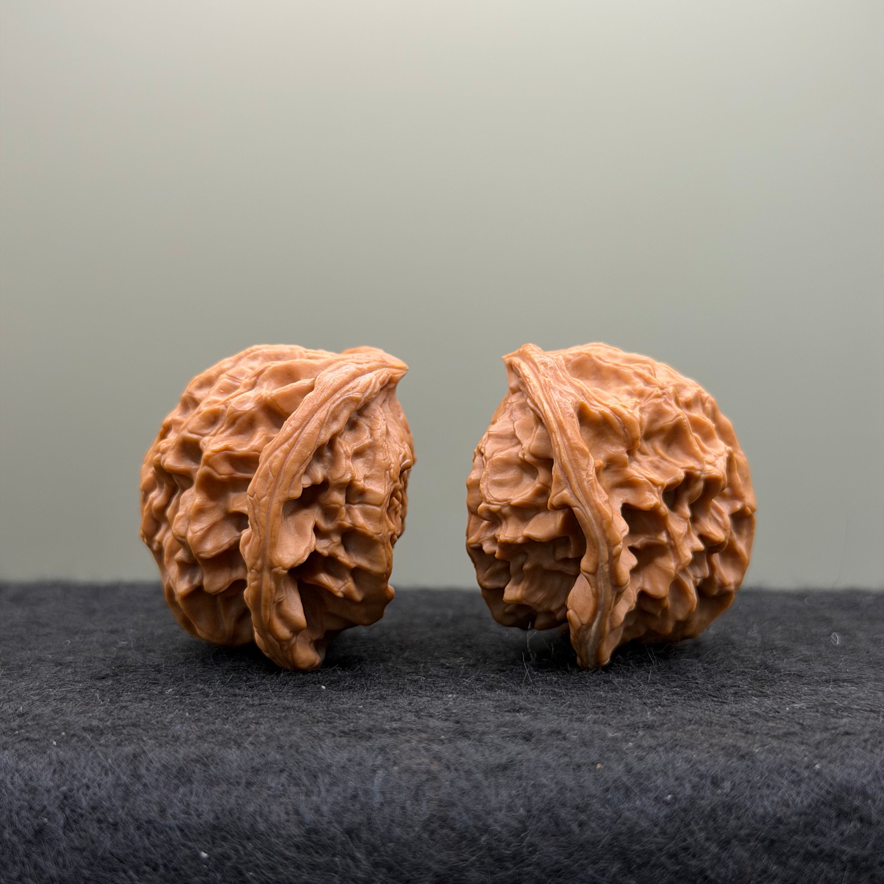 Snake Head Wenwan Walnut