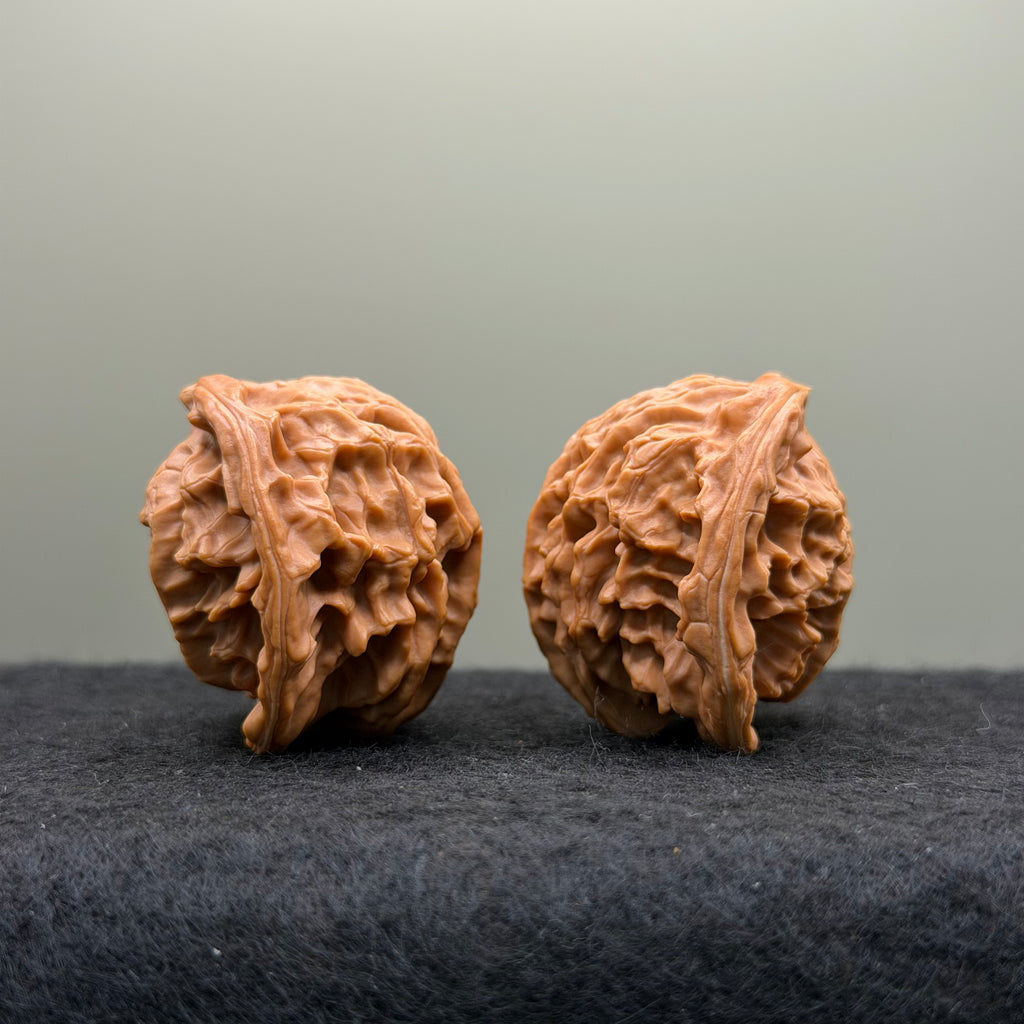 Snake Head Wenwan Walnut