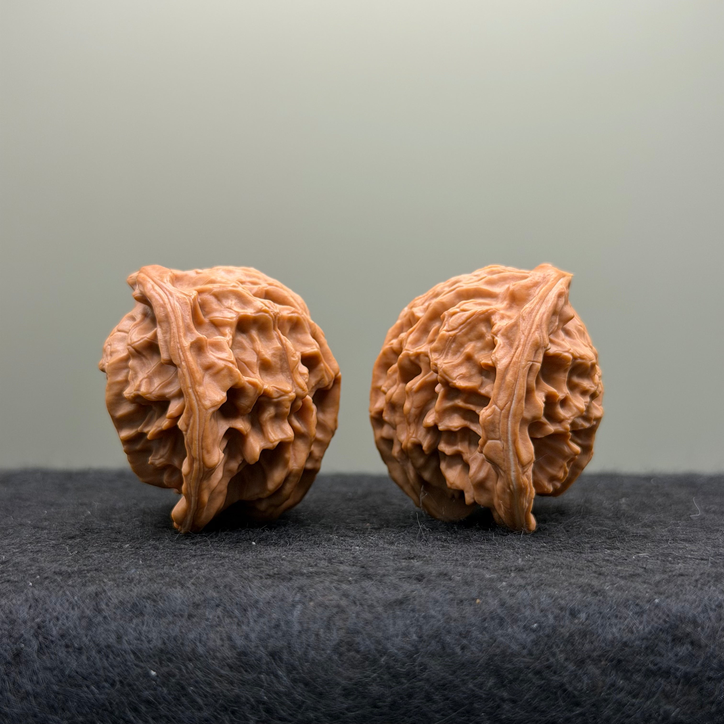 Snake Head Wenwan Walnut