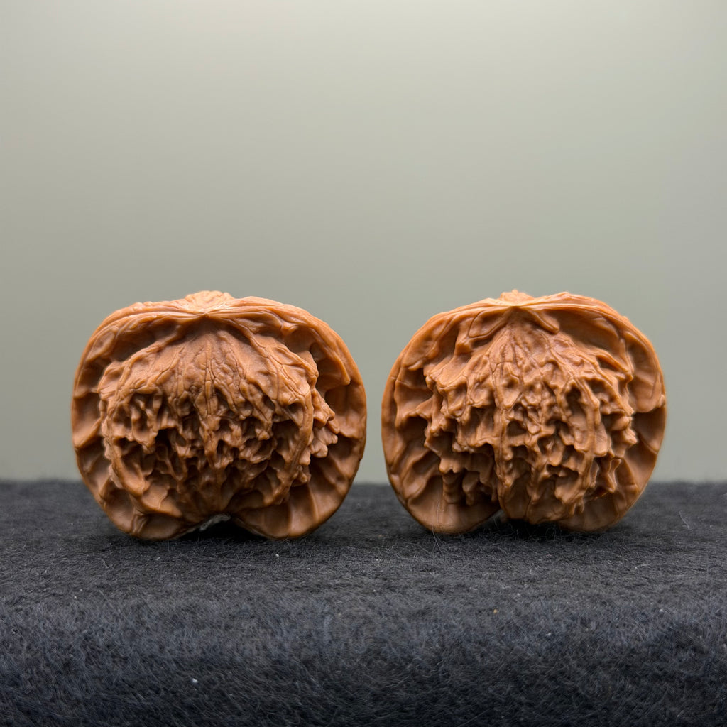Snake Head Wenwan Walnut