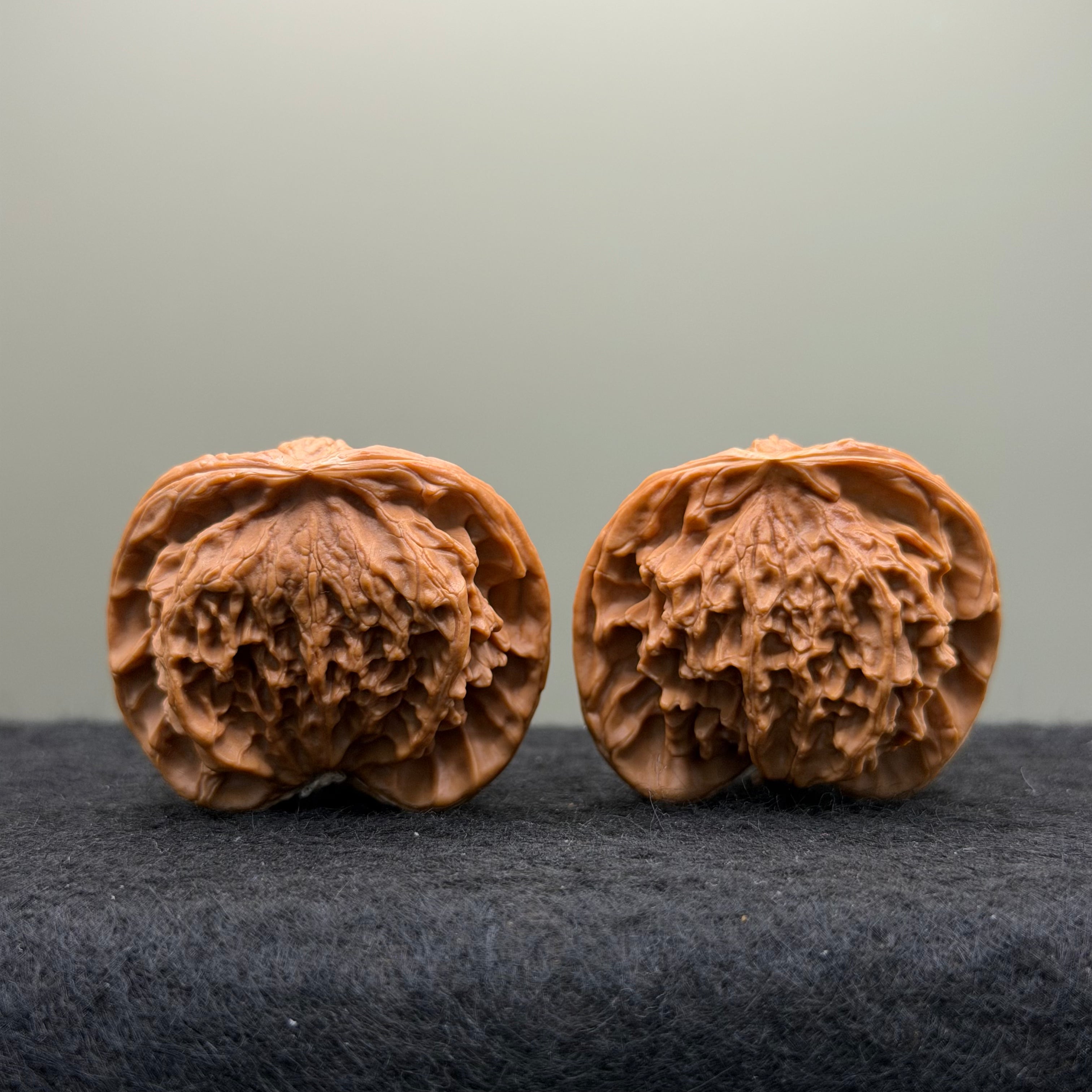 Snake Head Wenwan Walnut