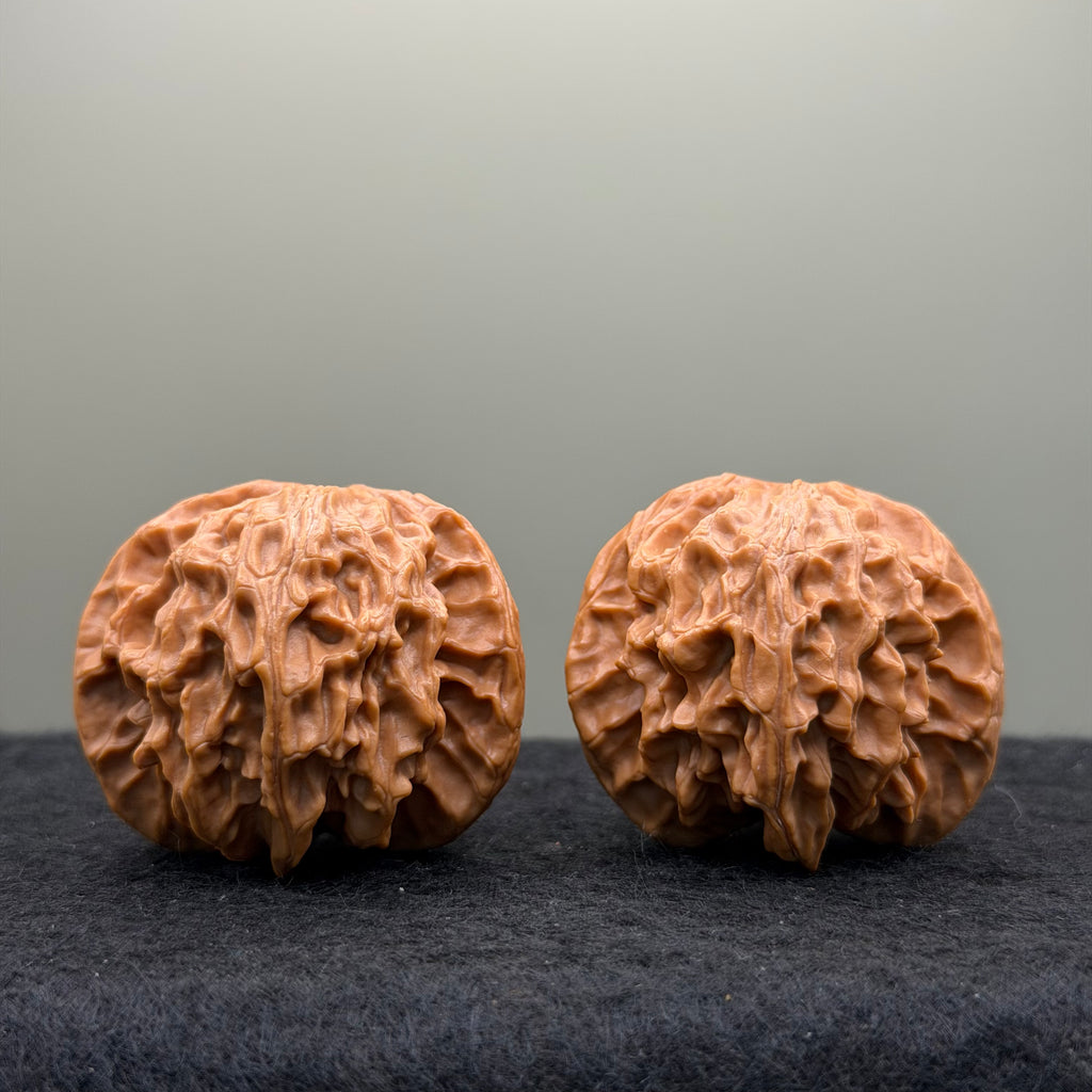 Snake Head Wenwan Walnut