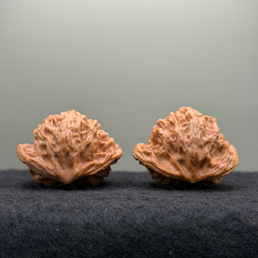 Snake Head Wenwan Walnut