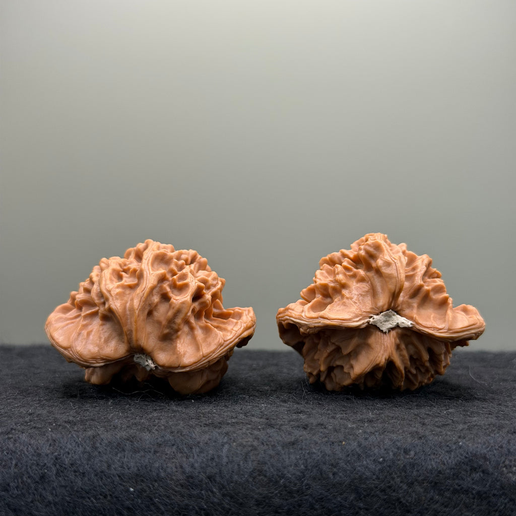 Snake Head Wenwan Walnut