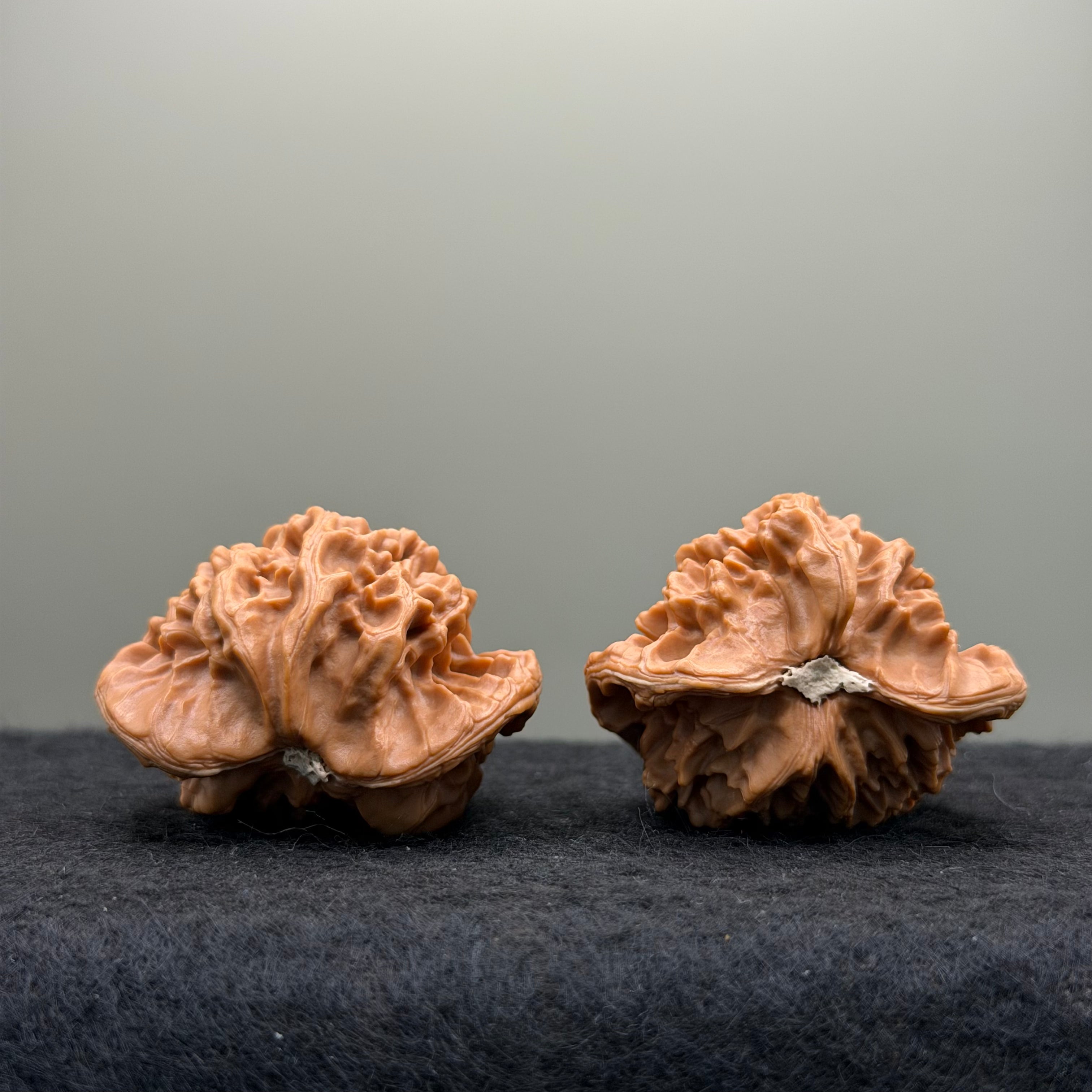 Snake Head Wenwan Walnut