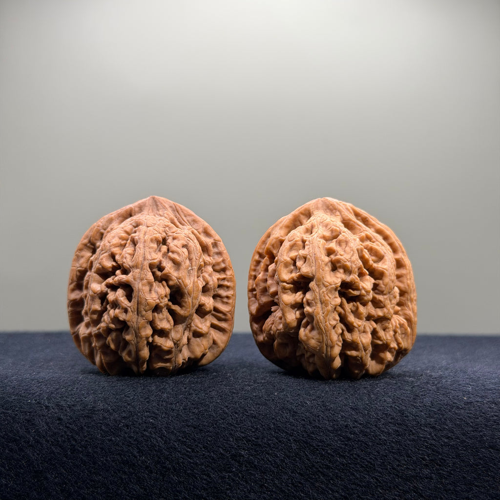 Bold Ridge Wenwan Walnut · 36mm · Natural · Premium Ritual