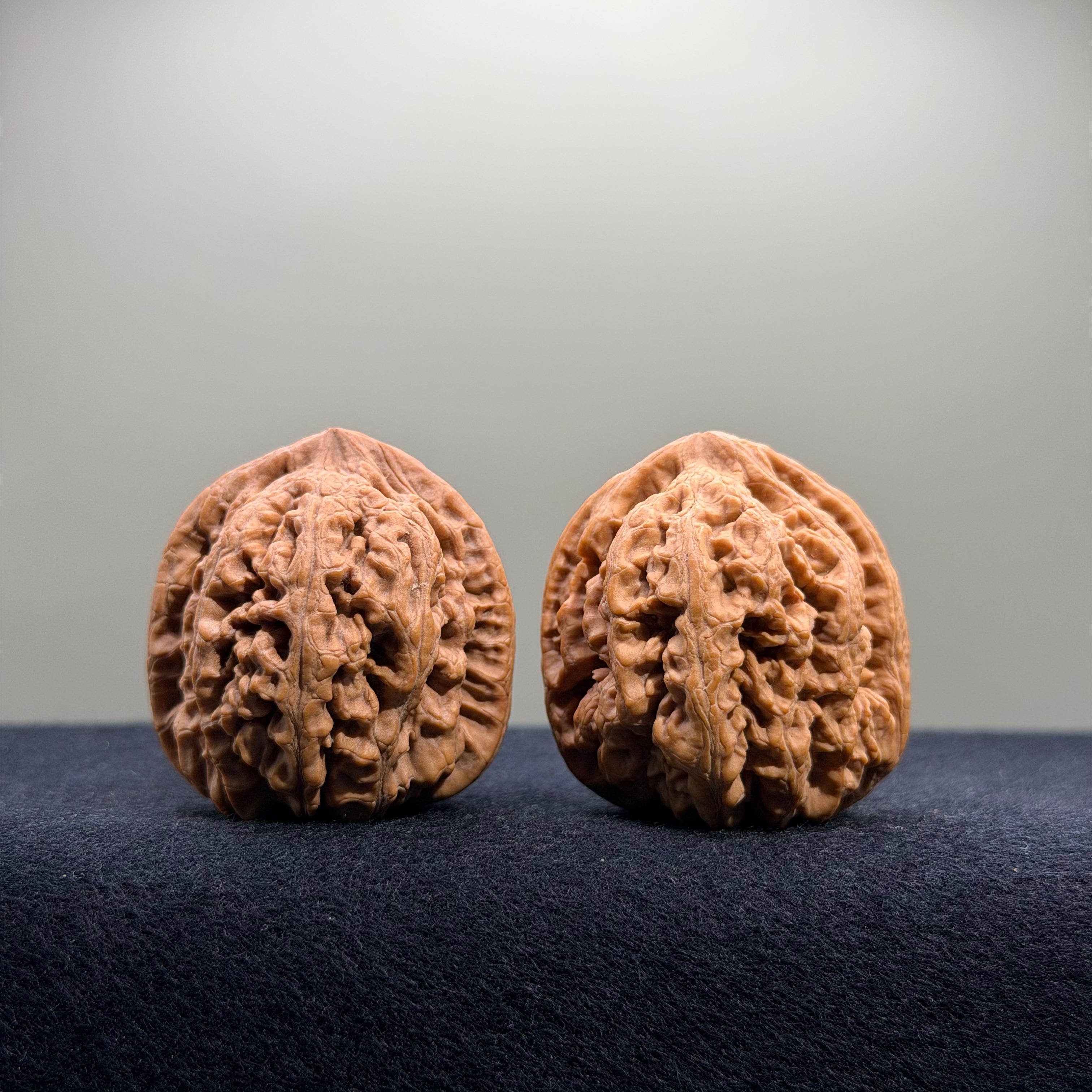 Bold Ridge Wenwan Walnut · 36mm · Natural · Premium Ritual