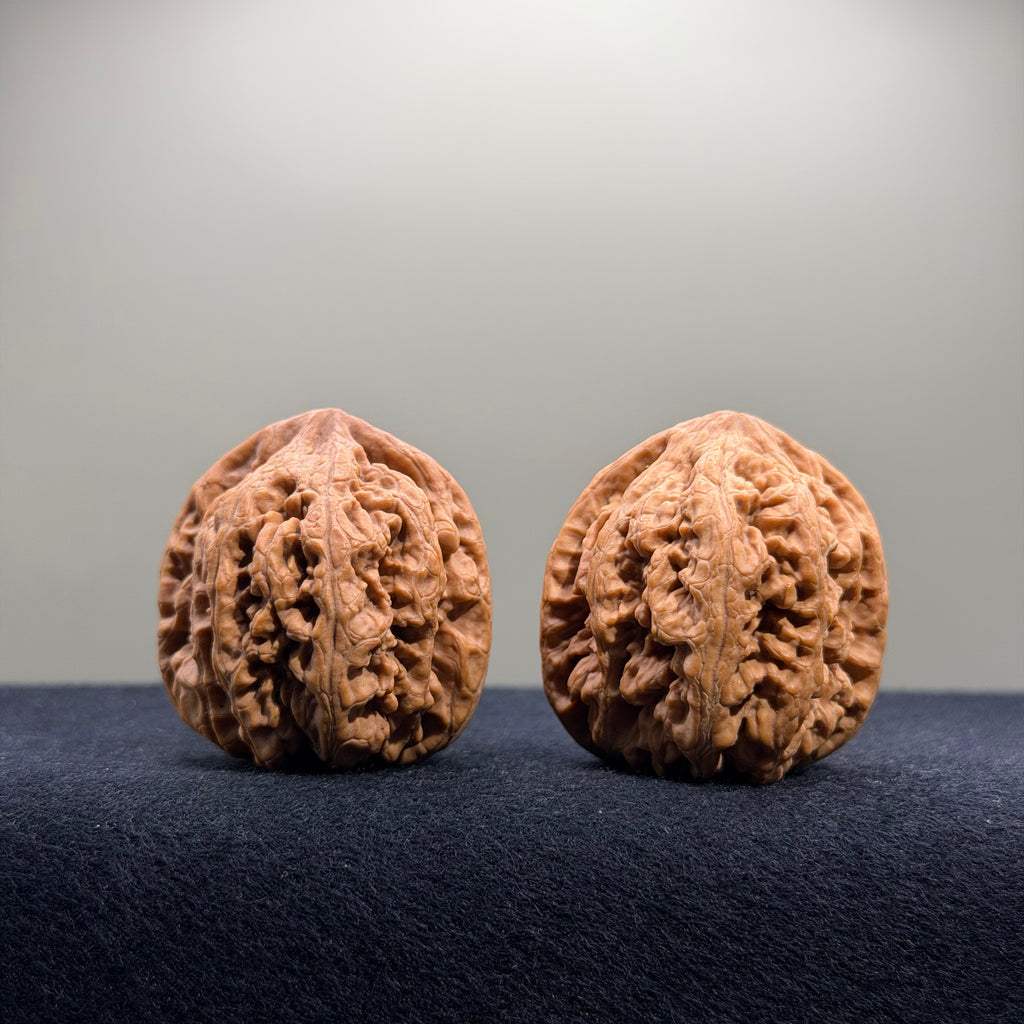 Bold Ridge Wenwan Walnut · 36mm · Natural · Premium Ritual