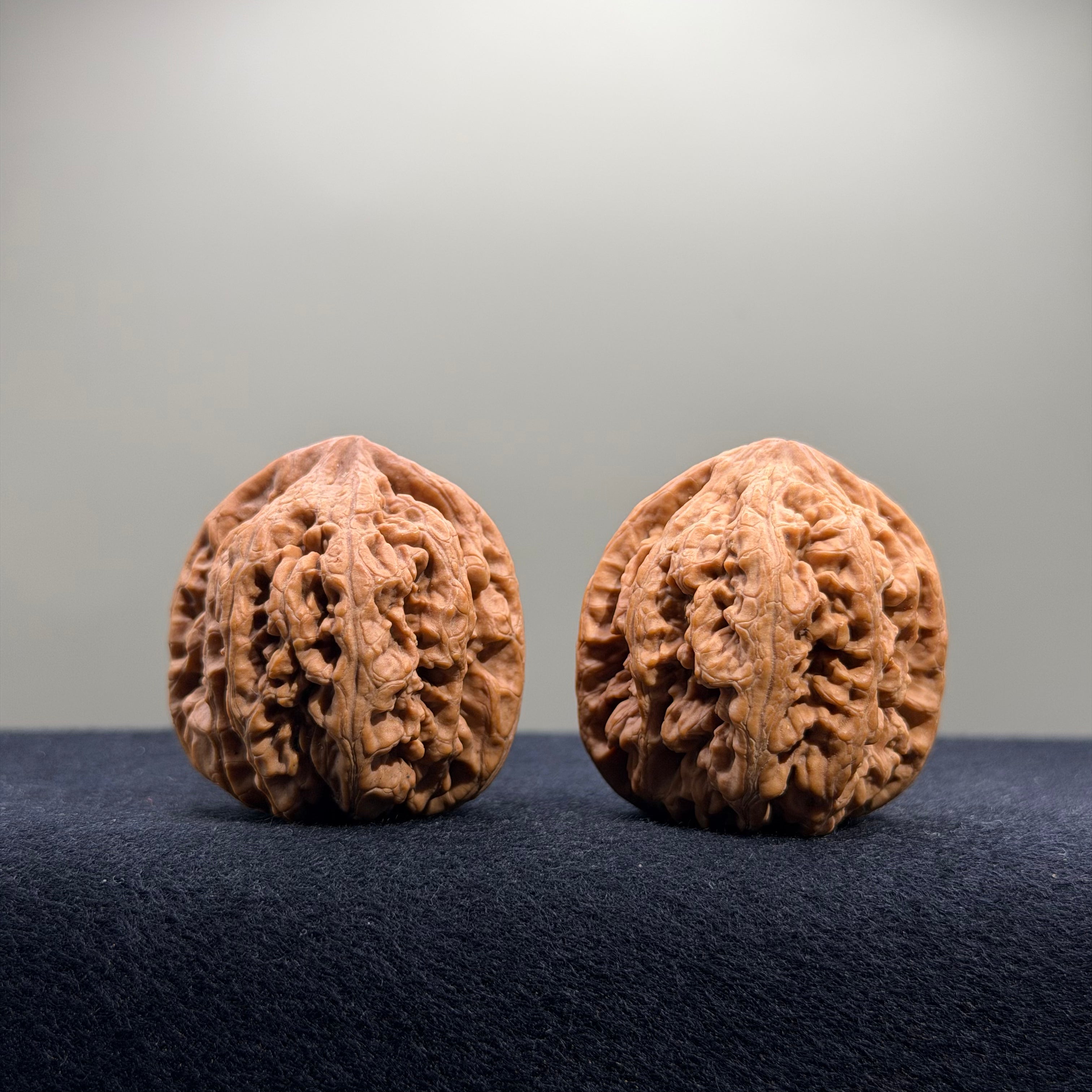 Bold Ridge Wenwan Walnut · 36mm · Natural · Premium Ritual