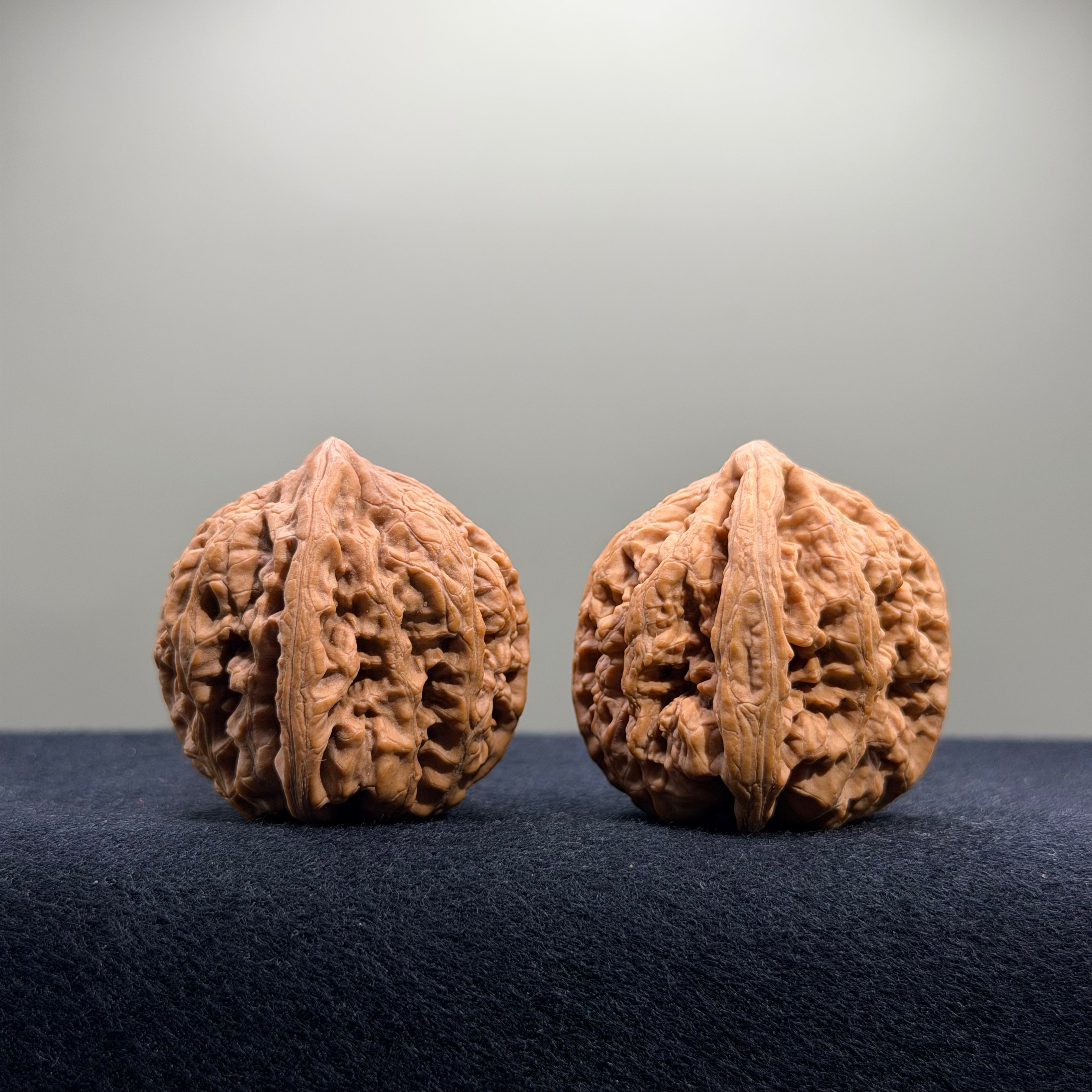 Bold Ridge Wenwan Walnut · 36mm · Natural · Premium Ritual