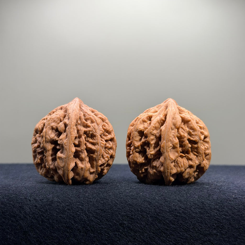 Bold Ridge Wenwan Walnut · 36mm · Natural · Premium Ritual